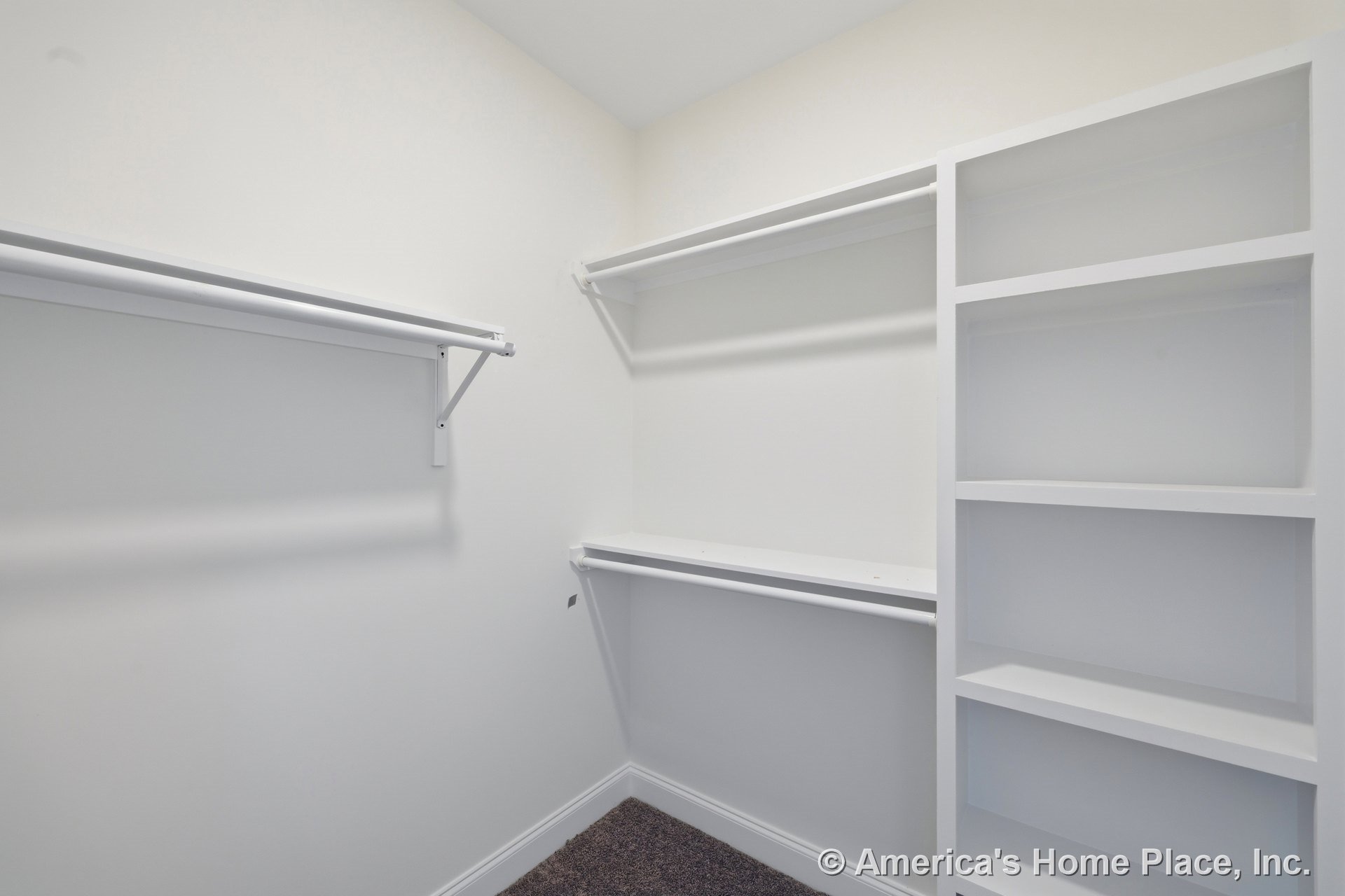 Walk-in closet with built-in open shelving, double hanging rods, white painted trim, carpet flooring, and neutral wall color.
