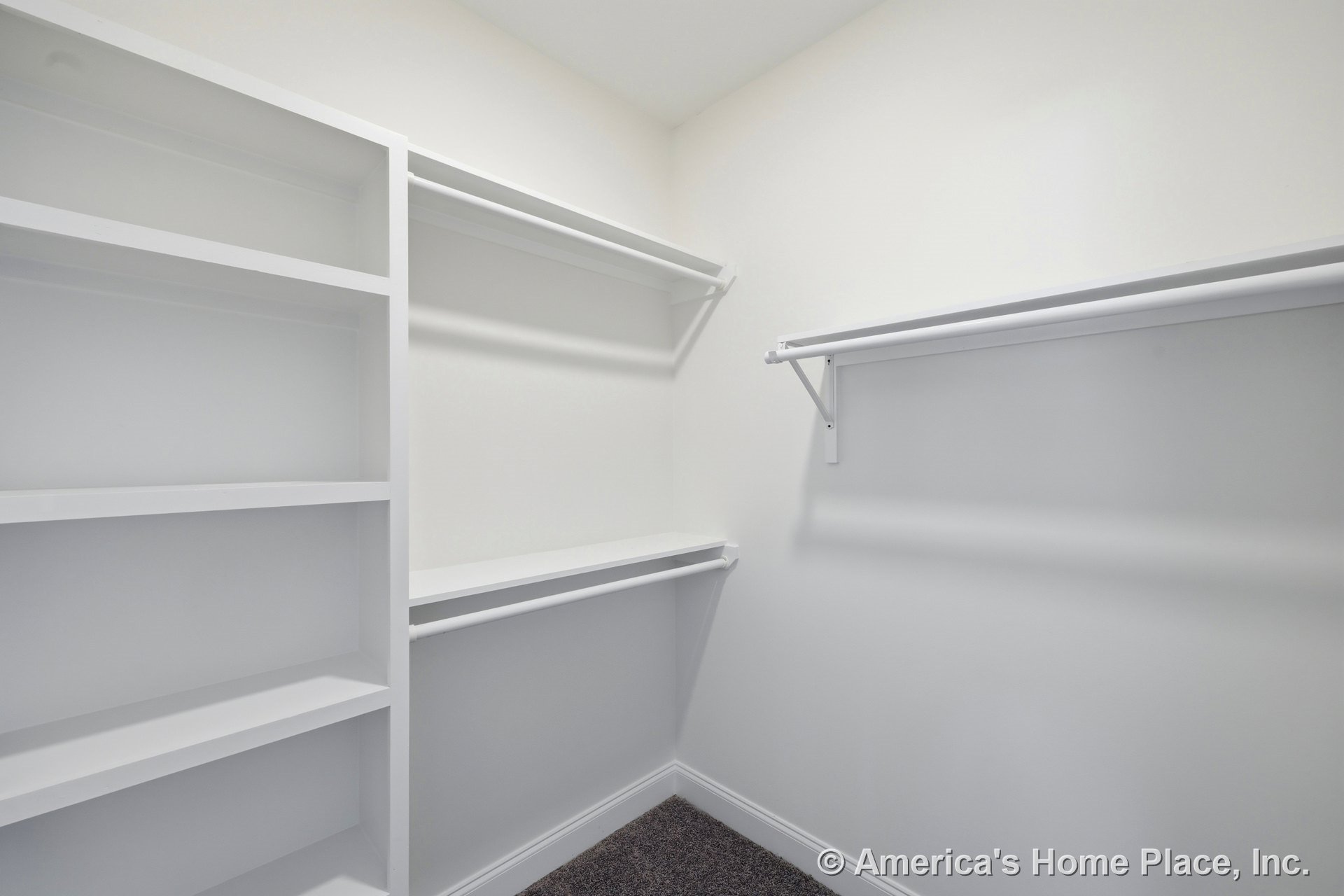 Walk-in closet with built-in white shelving, multiple white hanging rods, carpet flooring, smooth white walls, and white trim for organized storage.