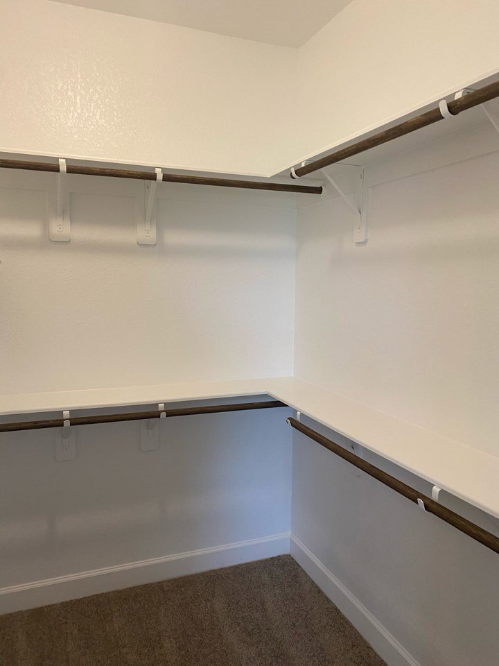 White closet with built-in shelves, carpeted floor, white walls, ceiling, and baseboards.