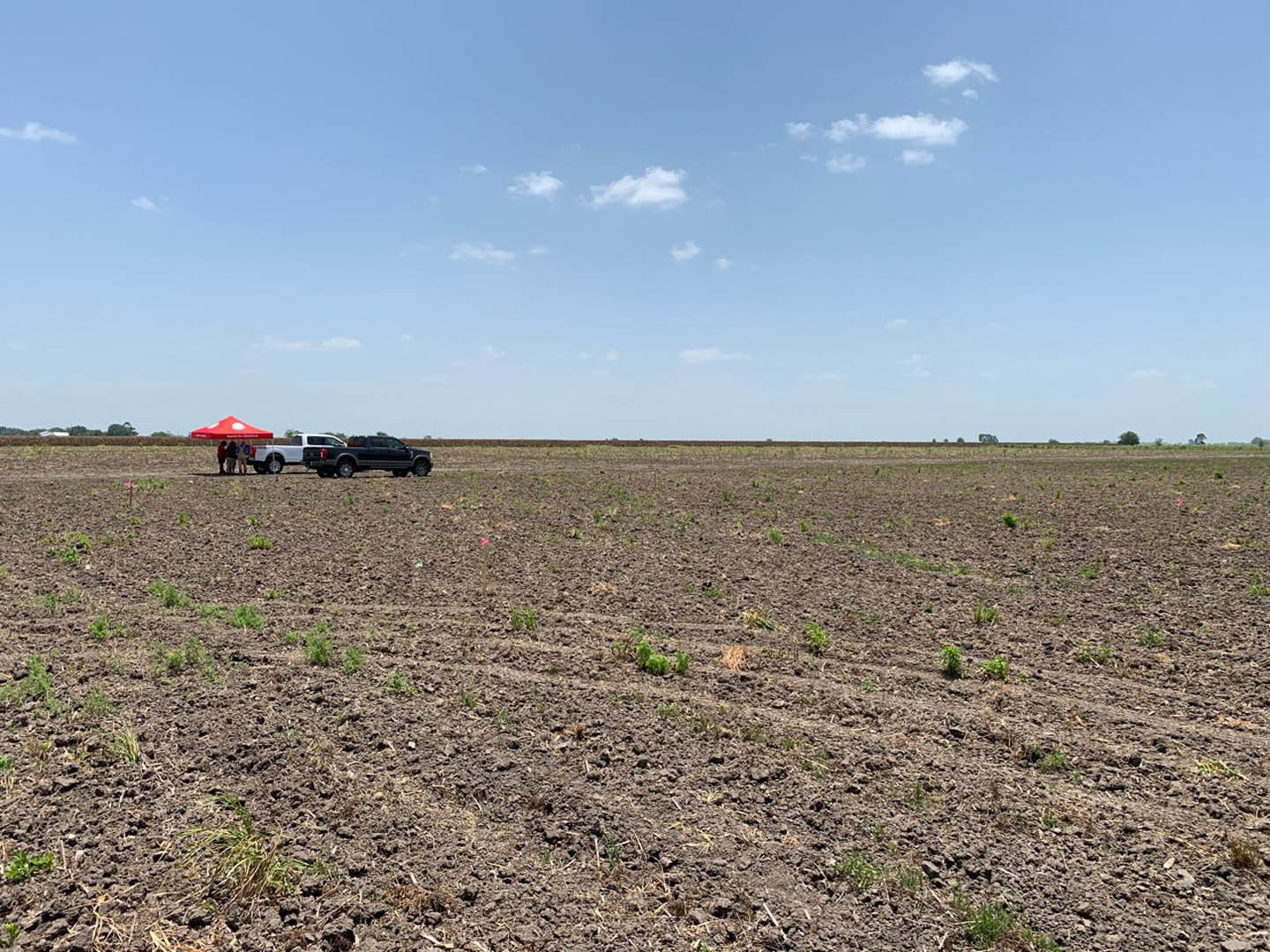 Black pickup truck parked on grassy field with luggage in the bed, red umbrella tent sheltering a group of people, blue sky with scattered clouds overhead.