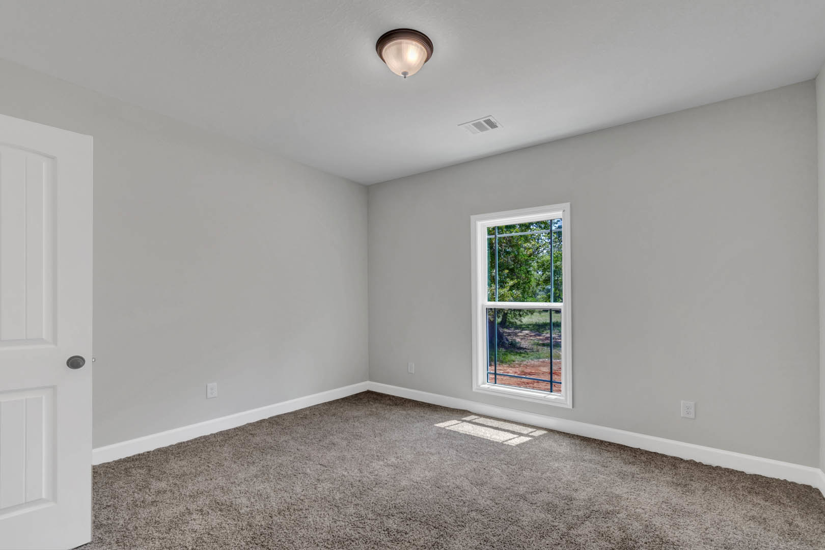Carpeted room with white walls, large window overlooking grass and trees, paneled door, ceiling light fixture, and decorative molding