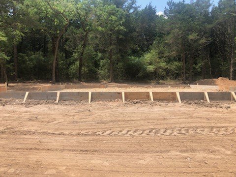 Dirt clearing with tire tracks, bordered by a dense group of trees under a pale sky