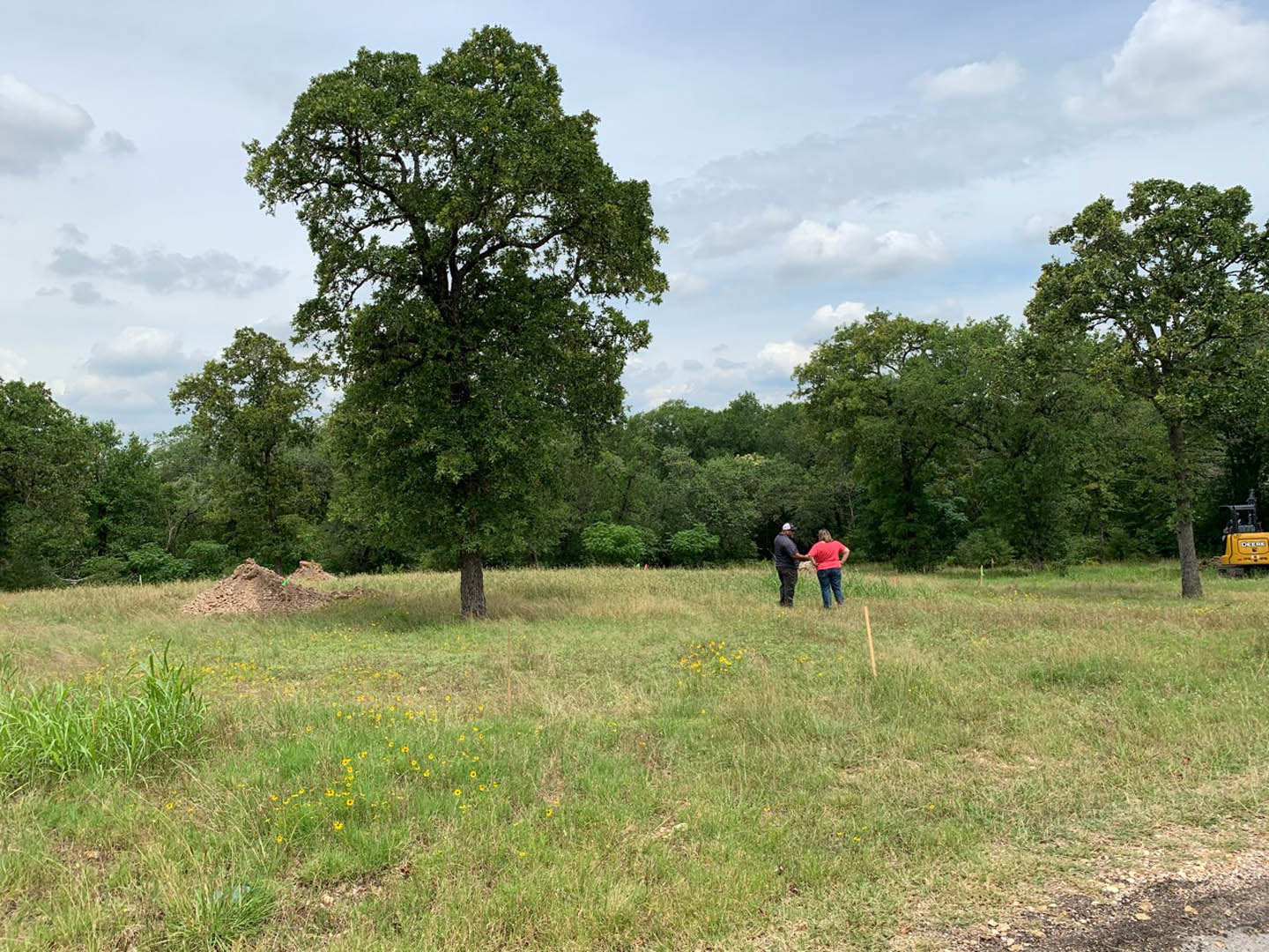 Man and woman holding hands, walking through grassy field beside large leafy tree, cloudy sky overhead, pile of dirt visible in background