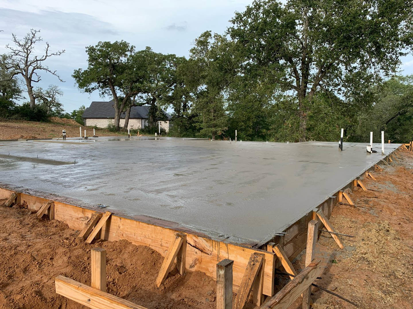 Freshly poured concrete slab foundation surrounded by bare dirt, leafless tree, and wooden posts, with trees and sky in the background