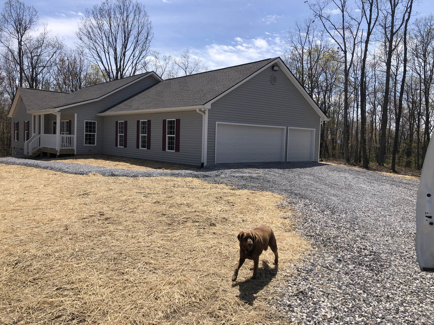 Brown dog standing on gravel yard in front of grey house with white garage door and multi-pane window, dry grass and trees visible in background