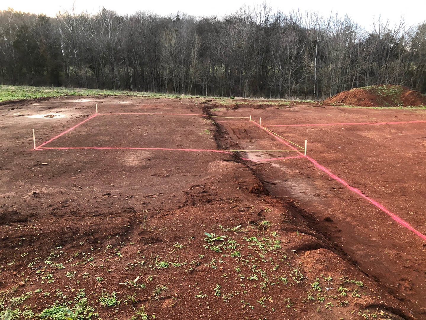 Red lines marking a dirt field with scattered grass and trees in the background under a clear sky