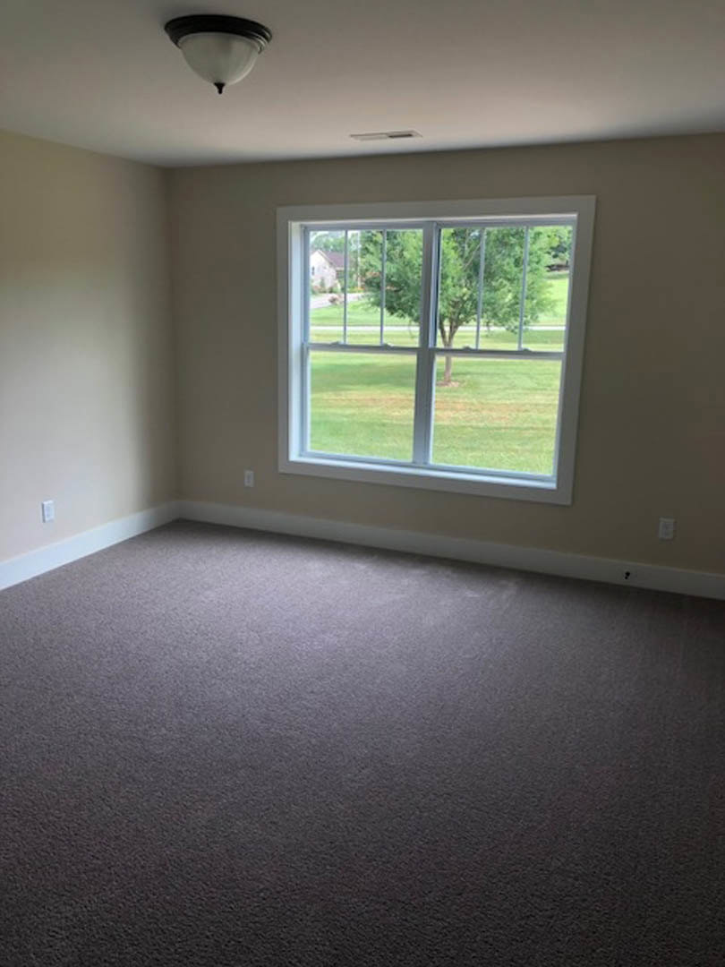 White-walled room with dark carpet flooring, large window overlooking grass and trees, ceiling light fixture, and natural light casting shadows on plaster walls.