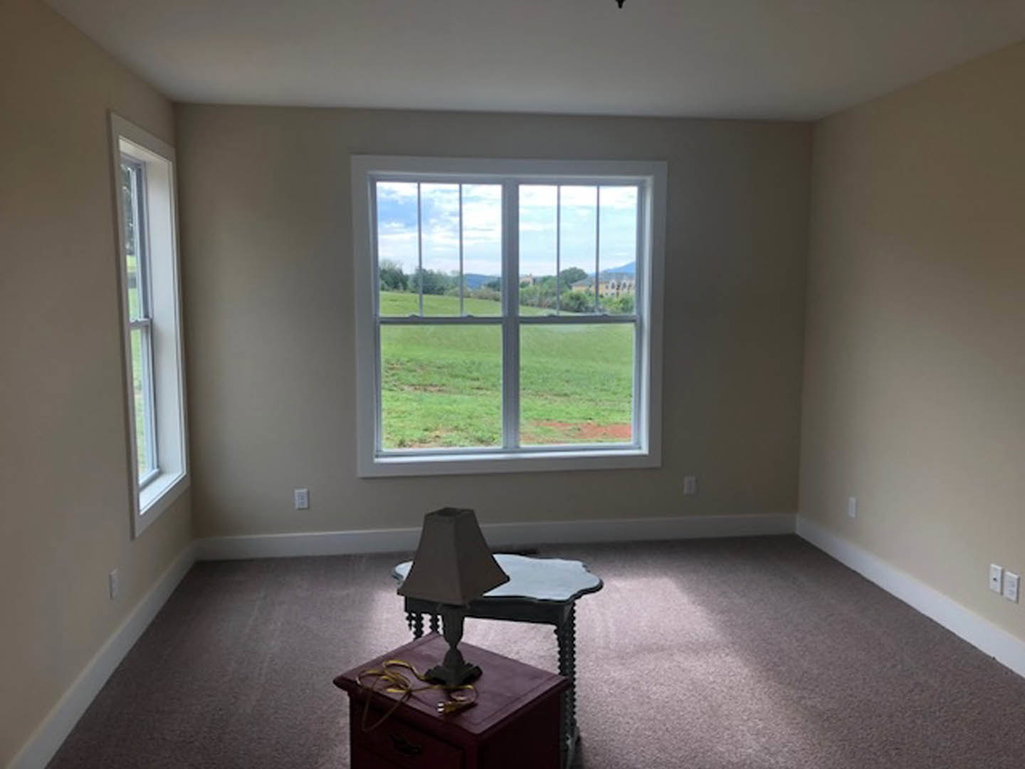 Living room with white-framed window overlooking grassy field and trees, wood flooring, neutral walls, table with lamp
