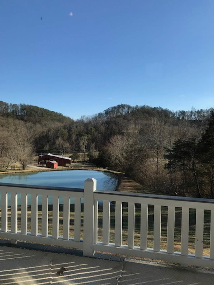 White railing on a deck overlooking a lake with a red barn and trees in the background