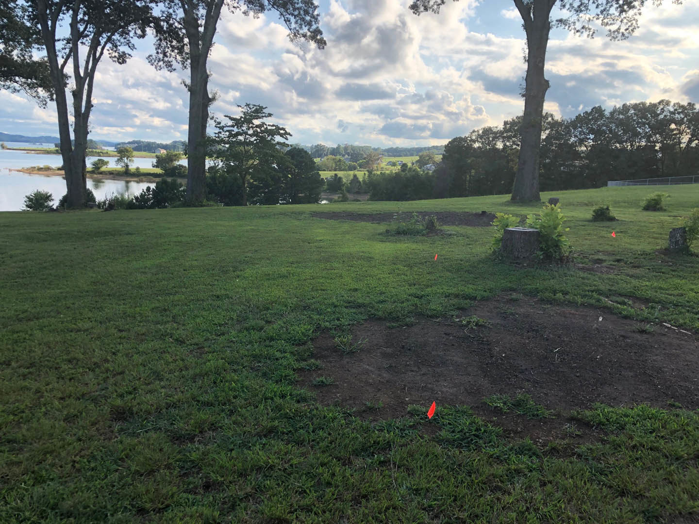 Grassy lawn bordered by mature trees, lake visible in background, cloudy sky overhead, tree stump with green plants in foreground