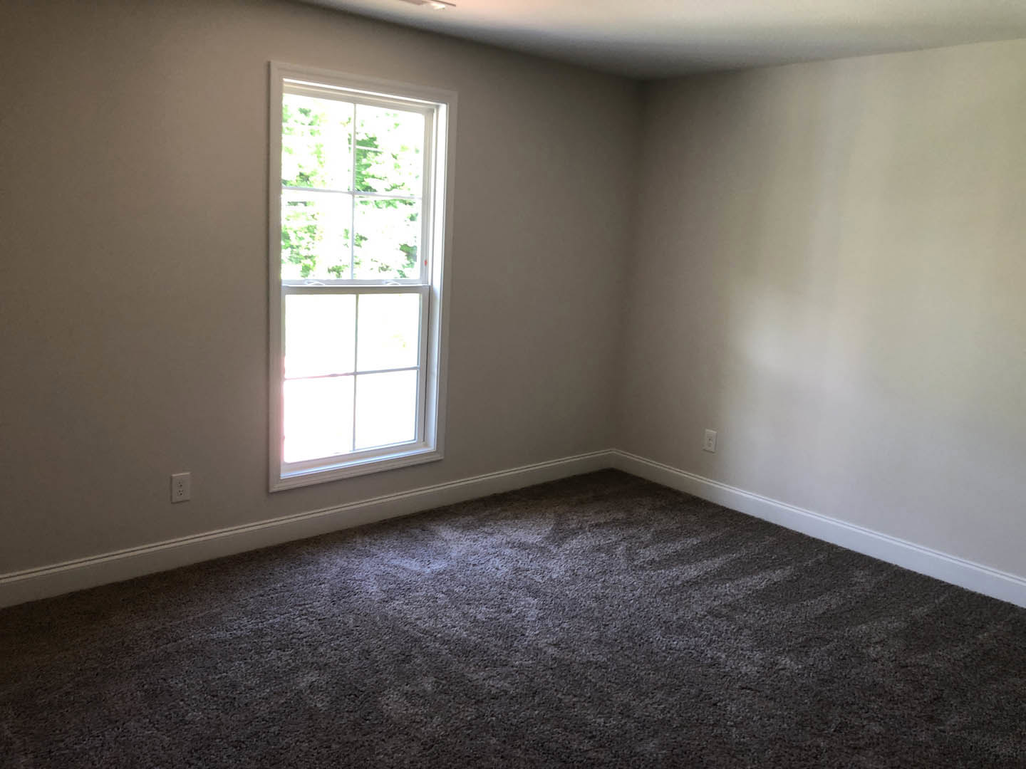 Carpeted room with a large white-framed window, plaster walls, and view of trees and cloudy sky outside