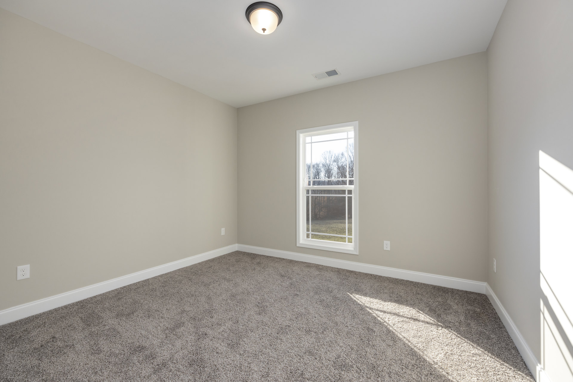 Carpeted room with white walls, large window overlooking trees, ceiling light fixture, and shadow cast on wall