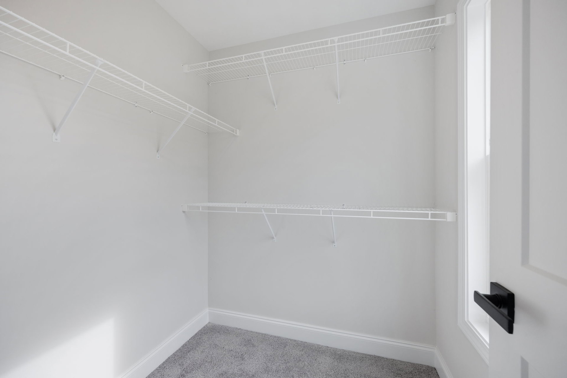 White closet with built-in shelves, white walls, carpeted floor, black door handle on white door, overhead shelf near ceiling, natural light illuminating space.