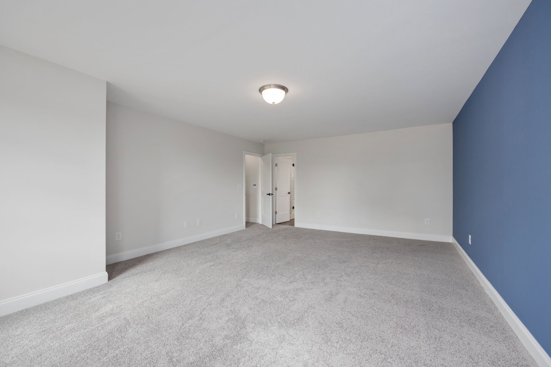 Carpeted room with blue walls, white trim, open white door with black knobs, and modern ceiling light fixture
