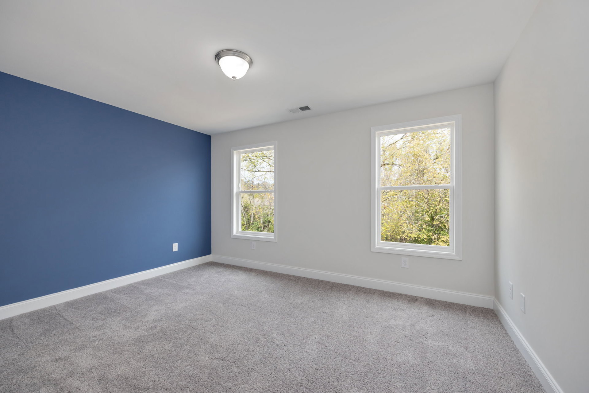 Blue-walled room with large windows overlooking trees, ceiling light fixture, carpeted floor, and white crown molding