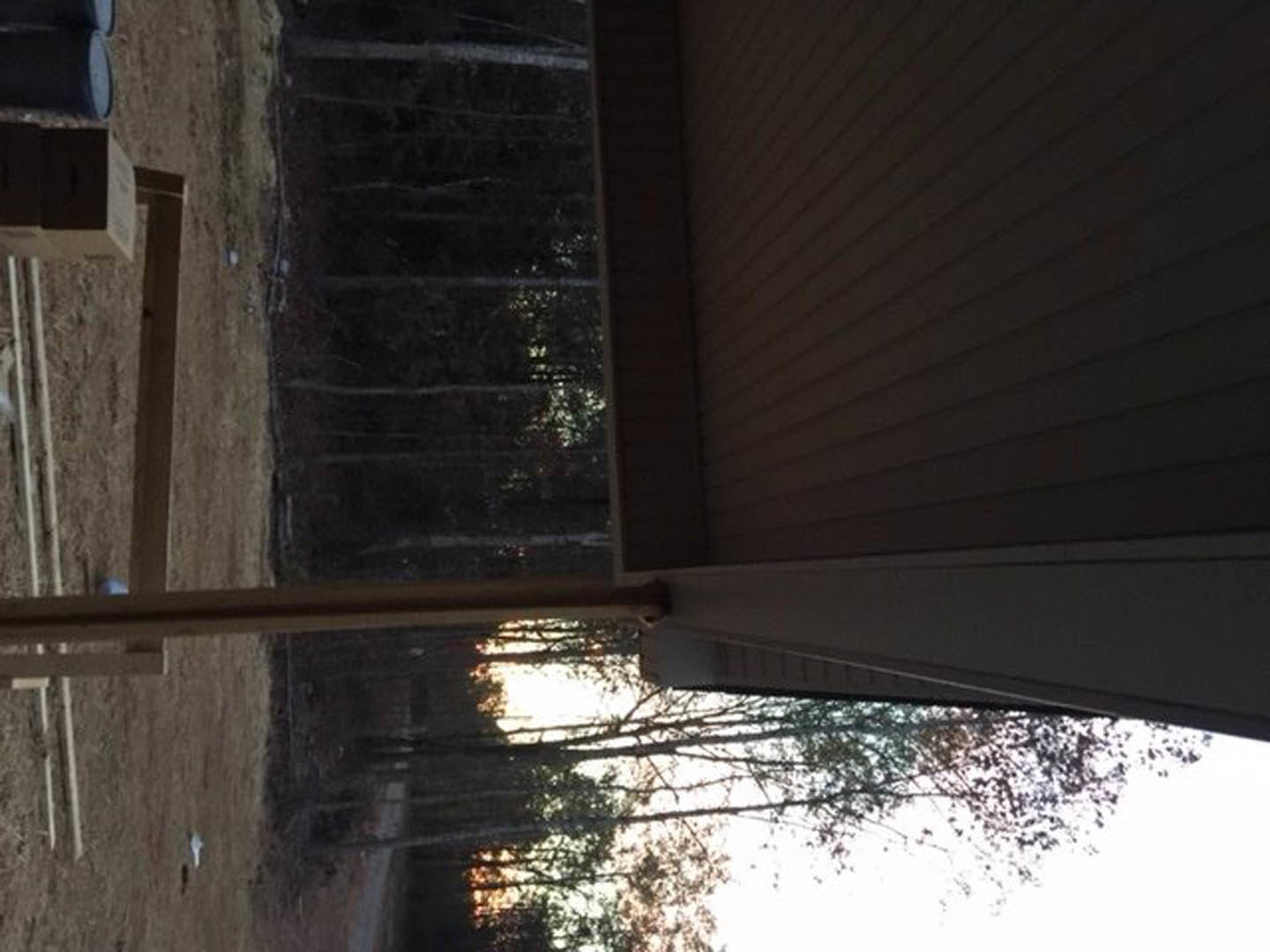 Wooden porch with a simple table and bench surrounded by tall trees, large windows reflecting forest scenery, and a dog standing near the railing