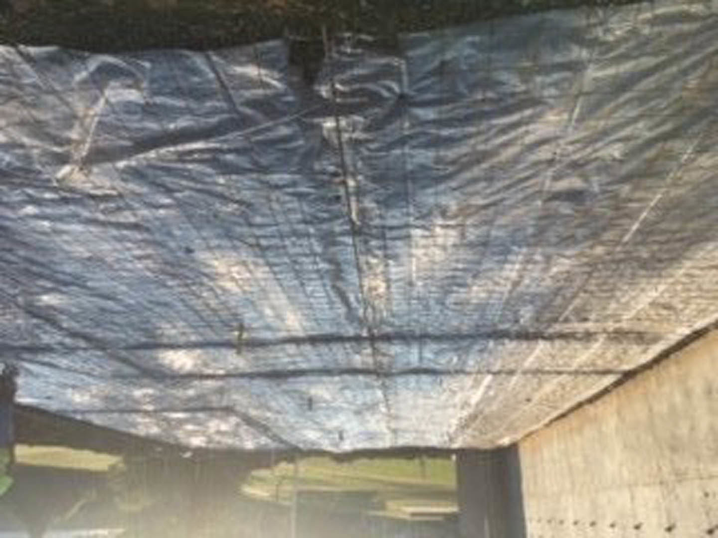 Blue tarp secured to exterior wall of residential building, partially covered in clear plastic, with blurred tree in background.