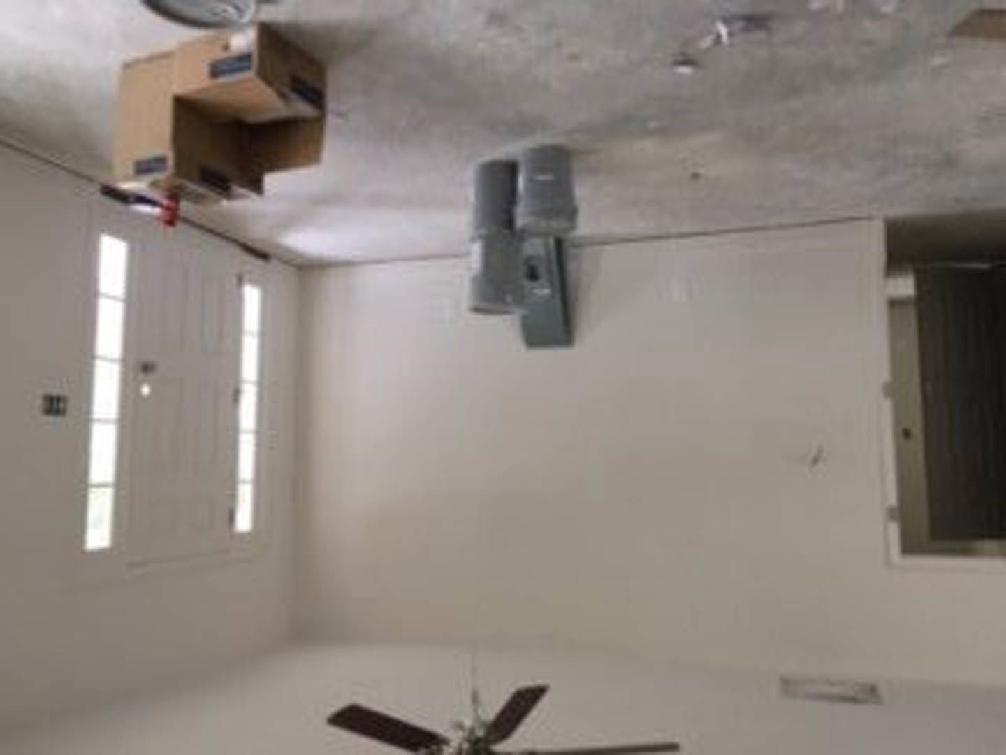 Ceiling fan and standing fan in a plaster-walled room with a white door illuminated by natural light, blurred plant and window in background, close-up box in foreground.