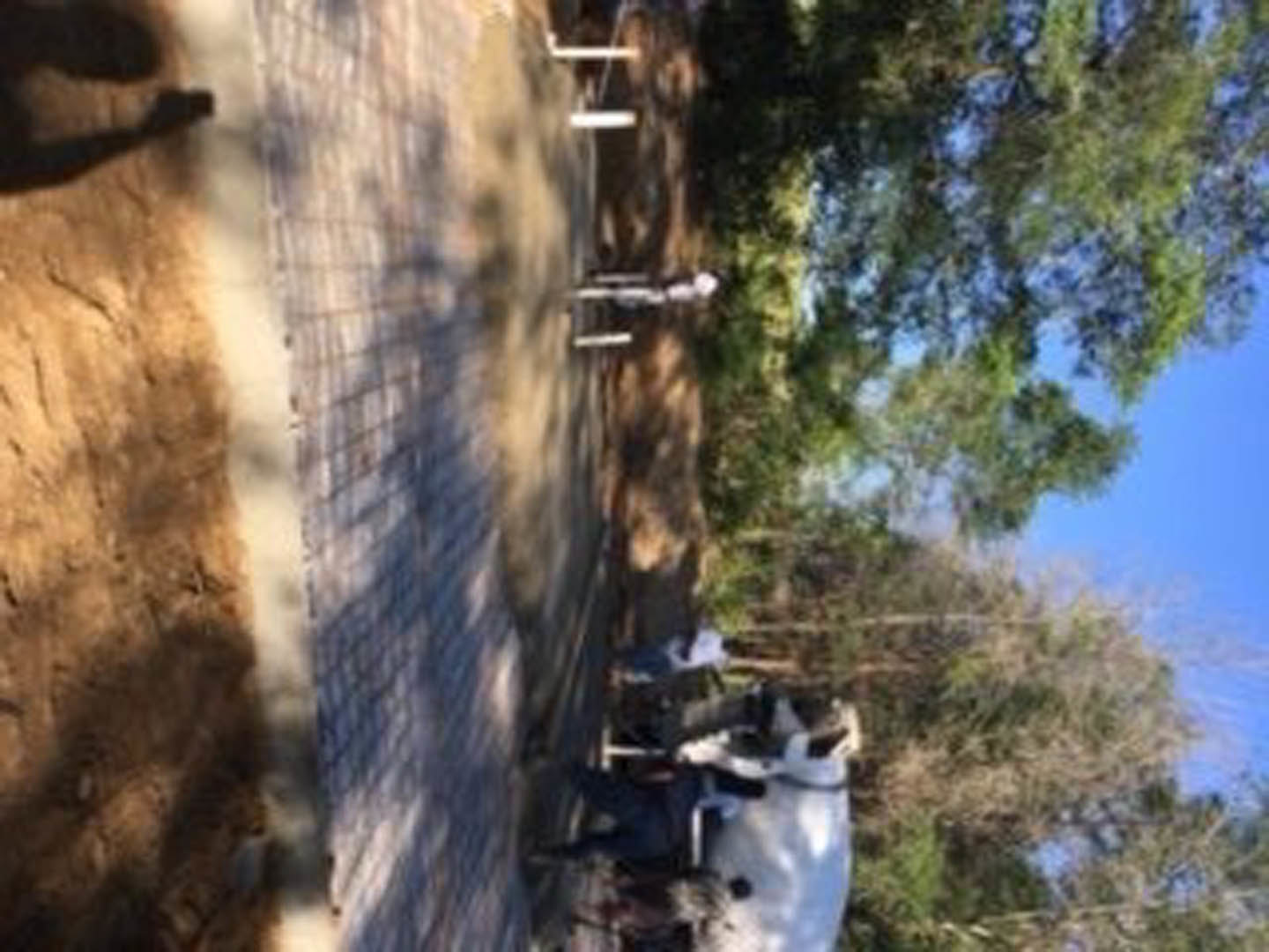 Brick walkway bordered by metal railings, group of people seated near leafy tree, residential exterior visible in background