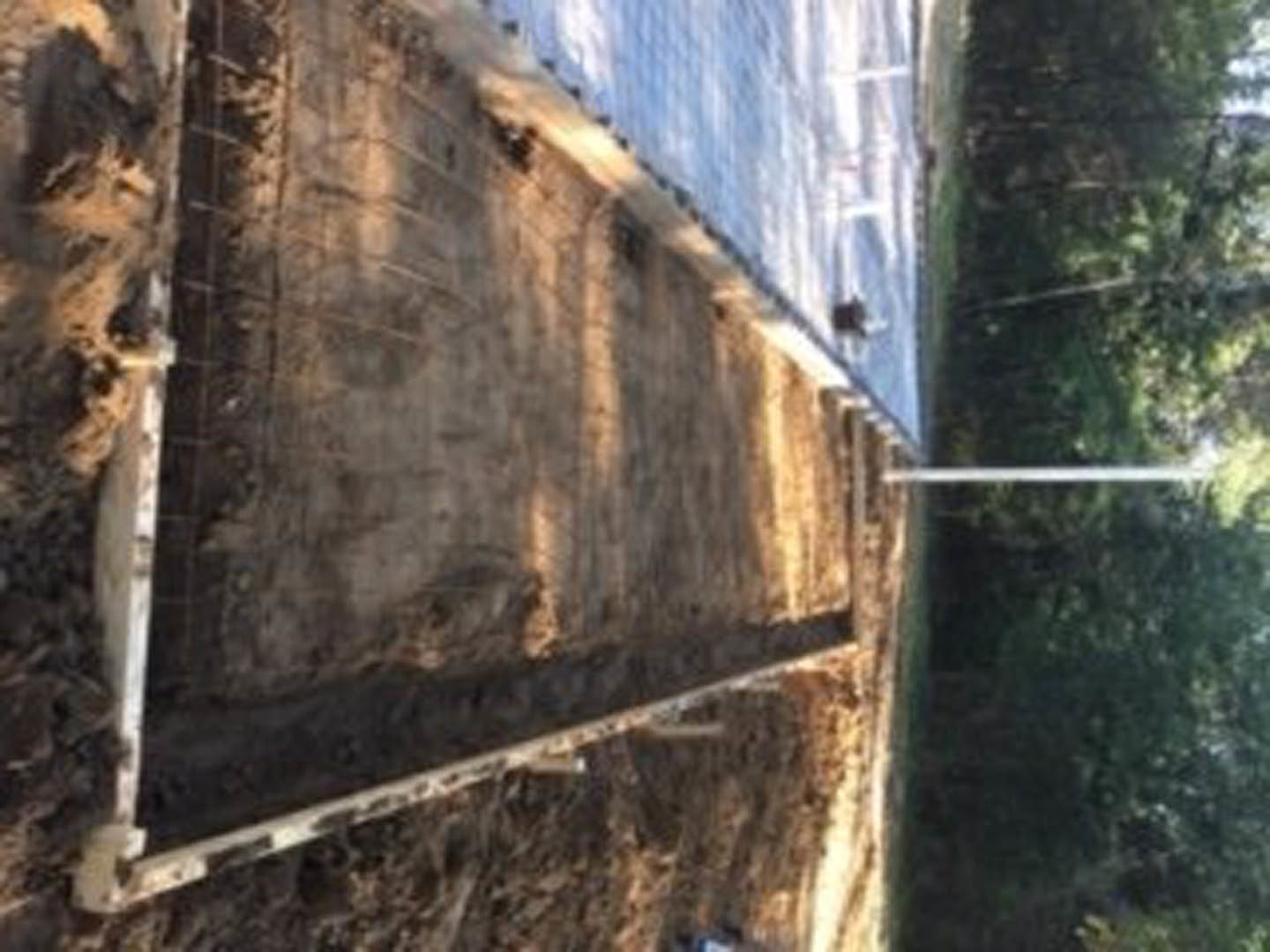 Dirt clearing with metal bars and a white pole surrounded by tall trees in a forested outdoor setting