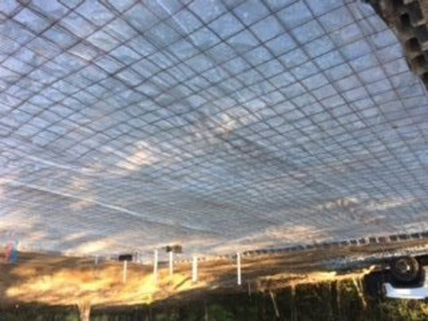 White tarp with grid pattern stretched outdoors, cloudy sky overhead, building partially visible in background