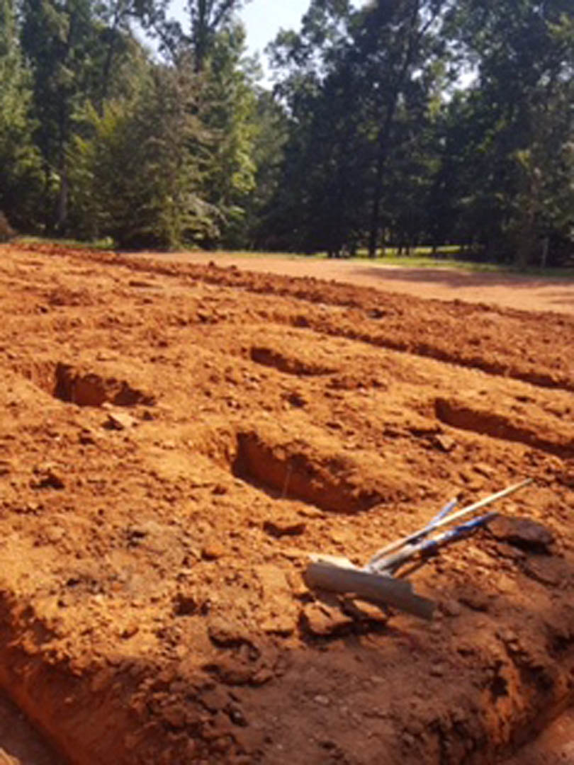 Dirt road with painted arrows, surrounded by soil and scattered trees under open sky