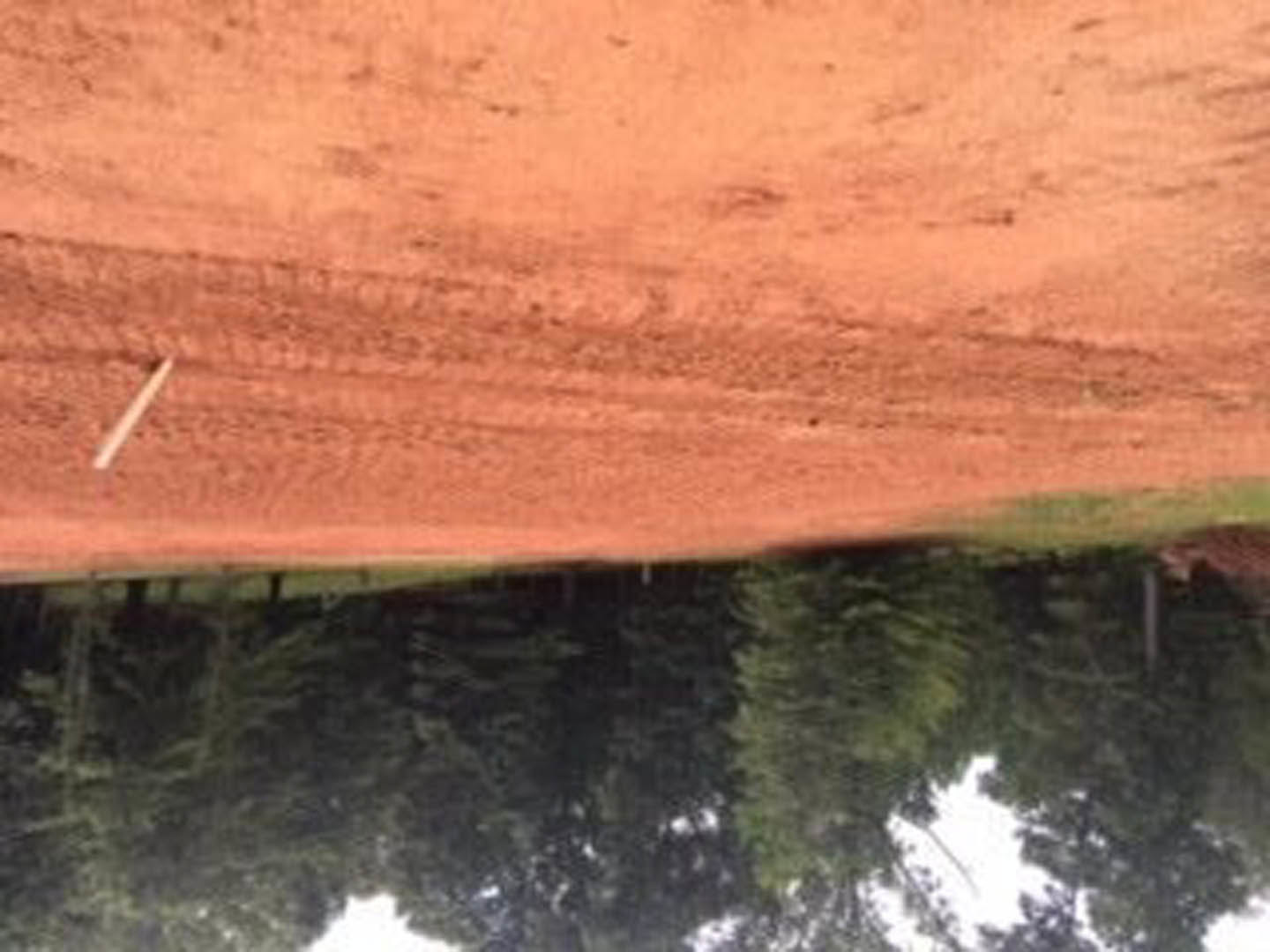 Dirt field bordered by leafy trees under clear sky