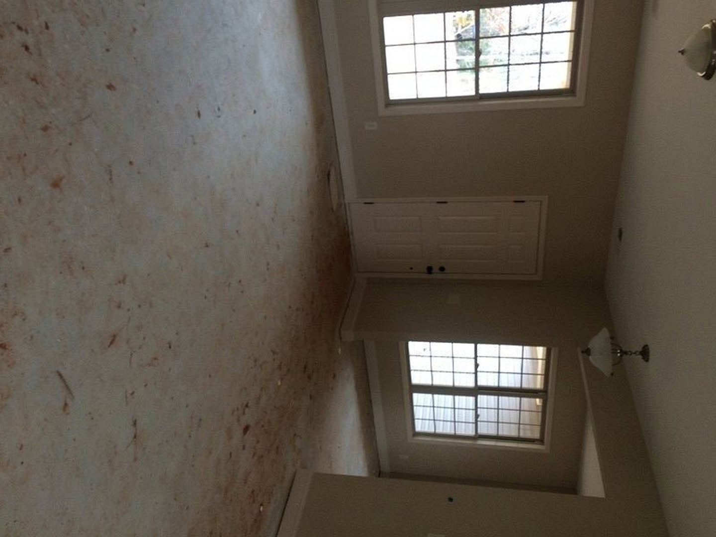 Sunlit room with white plaster walls, large window framed in black, light wood flooring, and ceiling detail visible