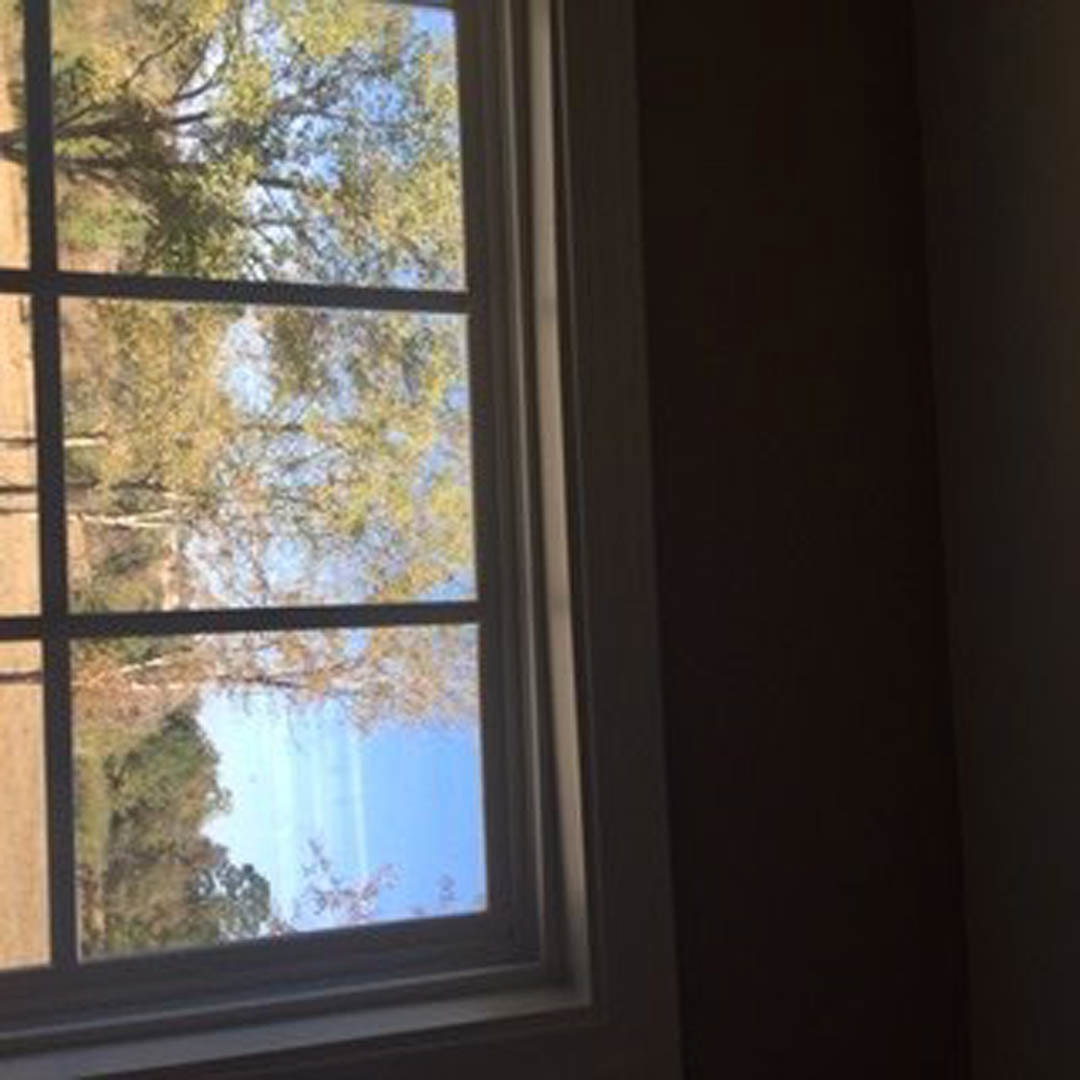 Large window with white trim framing leafy trees outside, dark accent wall and subtle window blinds, soft daylight illuminating interior space