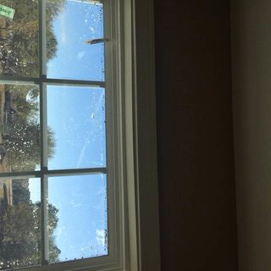 Large window framed by white trim, overlooking leafy trees and blue sky, daylight streaming into interior space