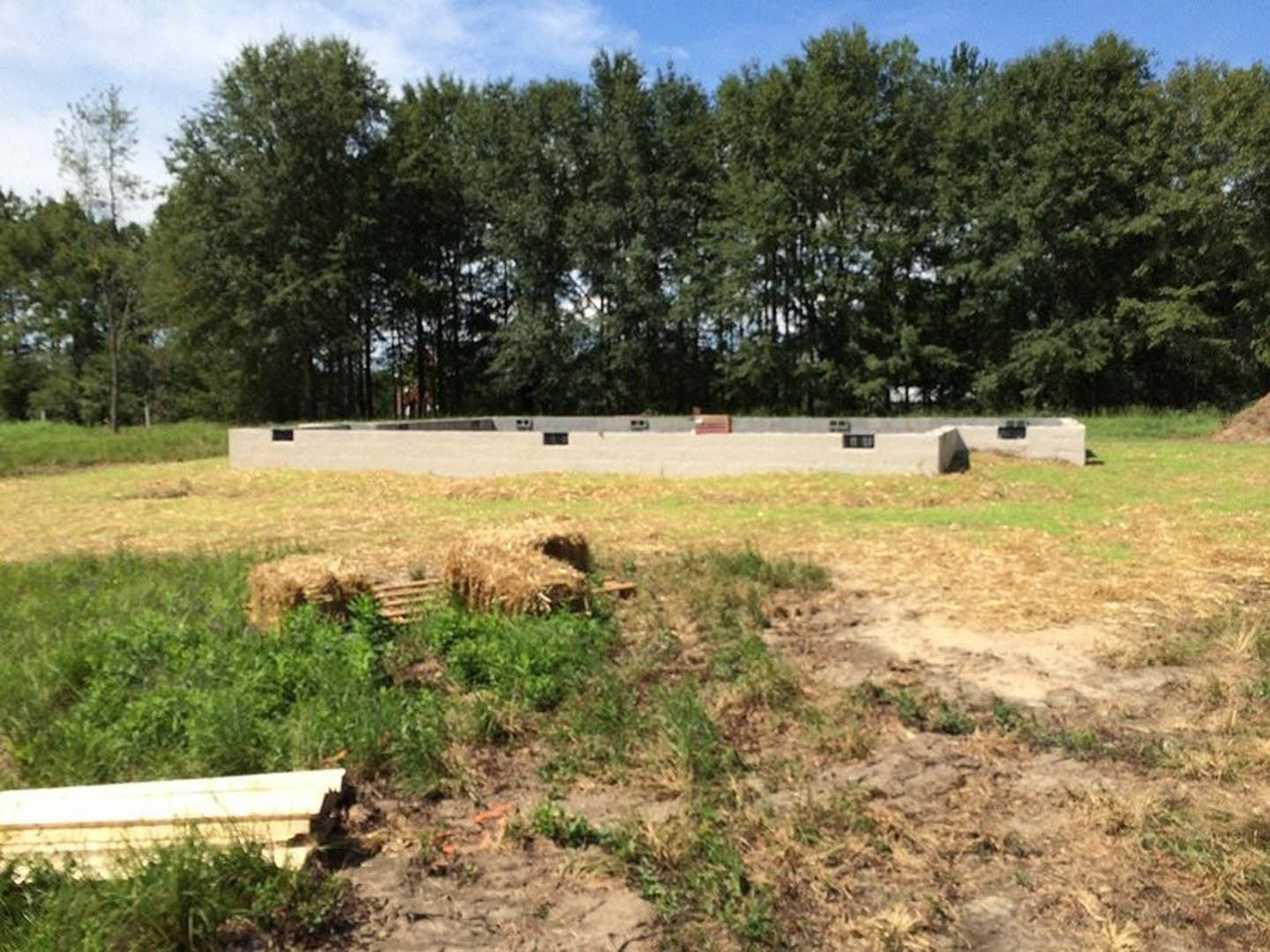 Hay bales scattered across grassy field with mature trees and blue sky in background