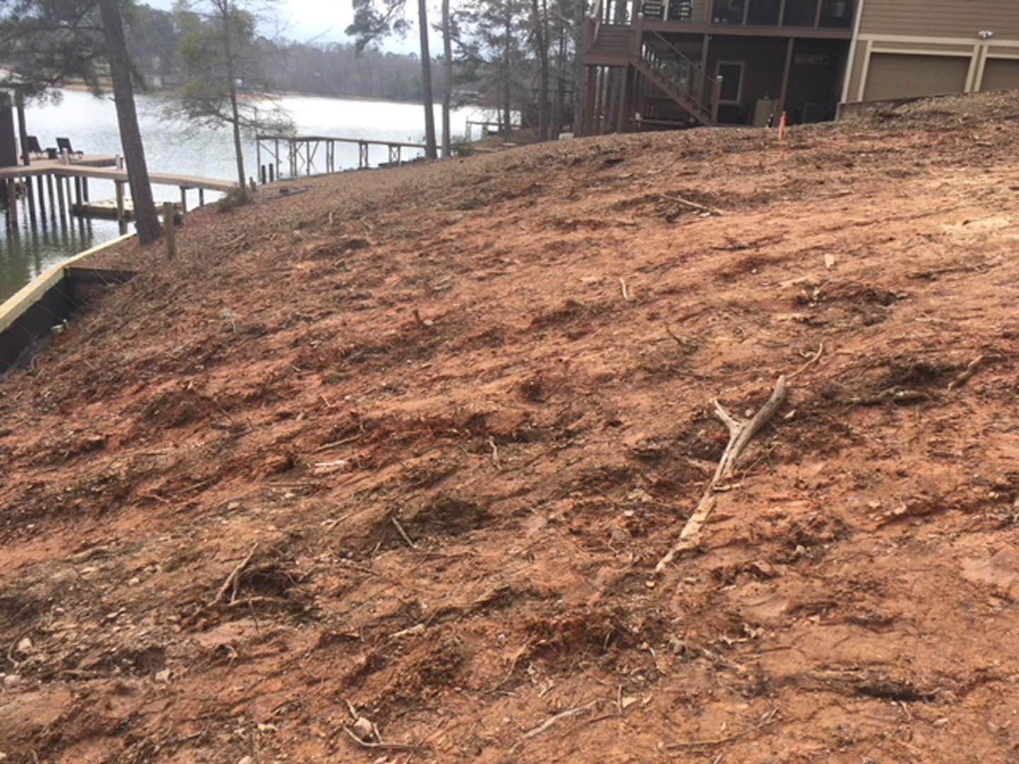 Dirt hill with scattered branches and sticks, mature trees, and a modern house with visible exterior siding in the background