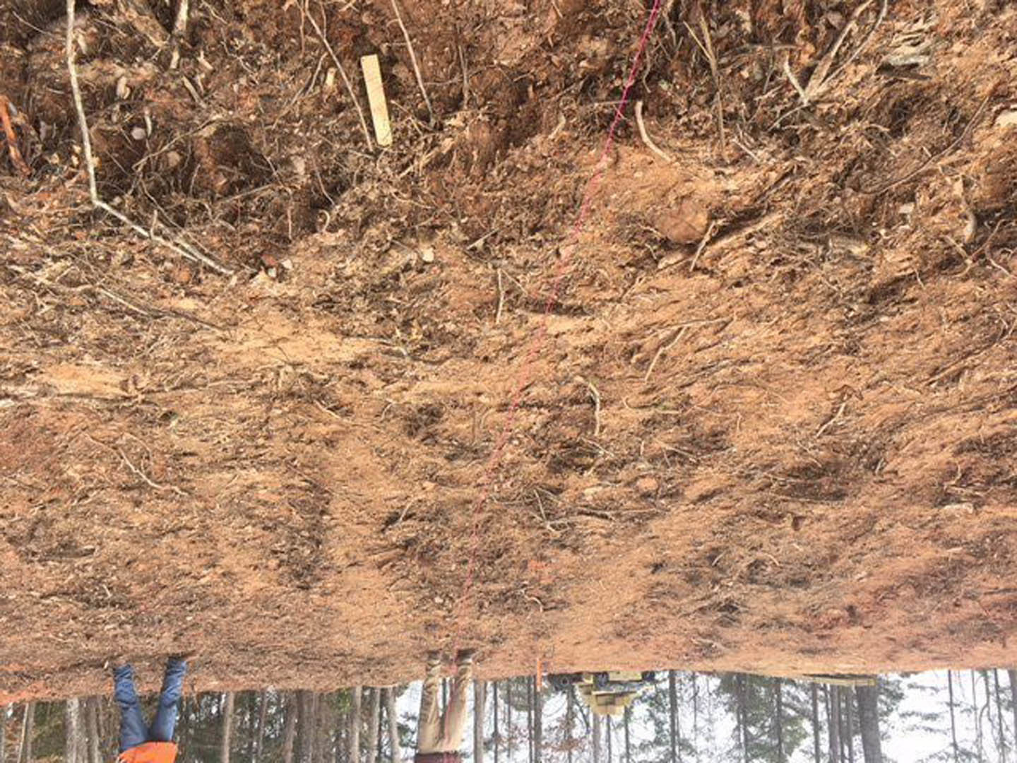 Expansive dirt field bordered by mature trees, two people standing near center, scattered sticks and branches on ground, outdoor construction site