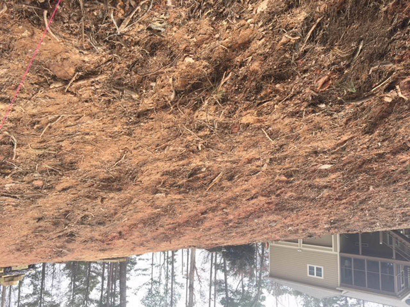 Modern two-story home with white siding and large windows, situated atop a brown dirt hill with scattered trees and winter foliage