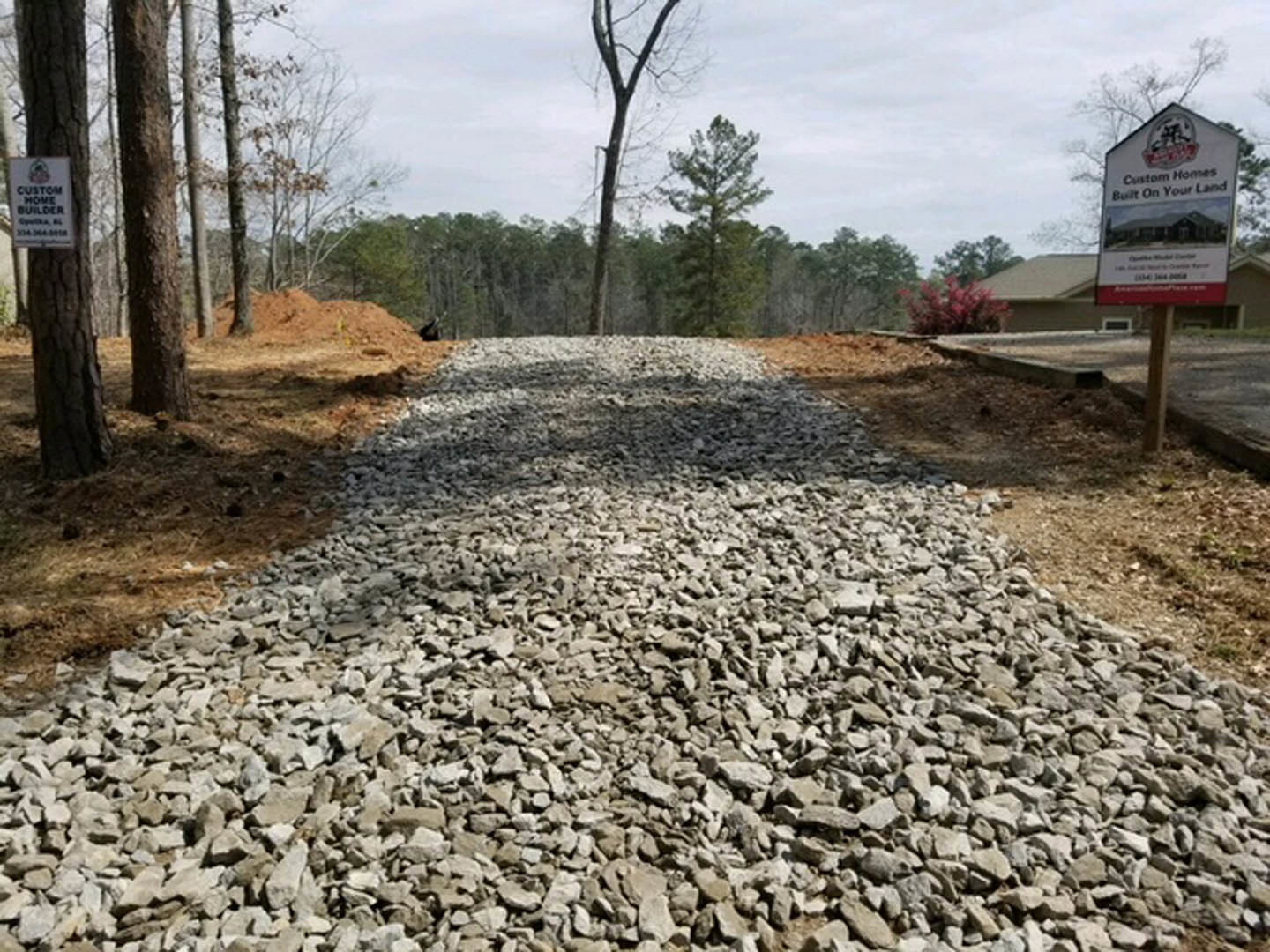 Gravel driveway lined with mature trees leading to a distant house, surrounded by natural landscaping and open sky