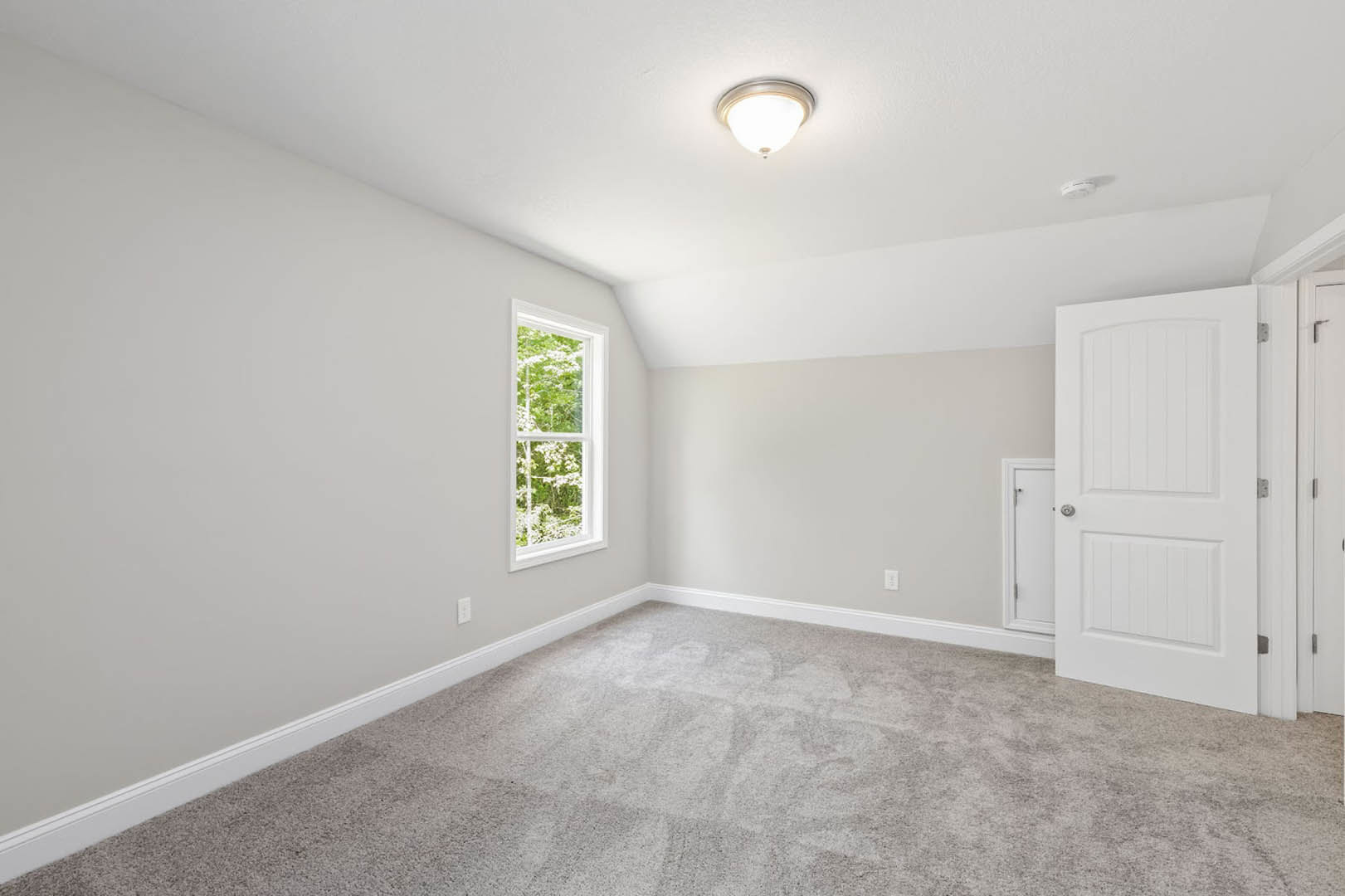 Carpeted room with white walls, white door, ceiling light fixture, and window showing trees outside