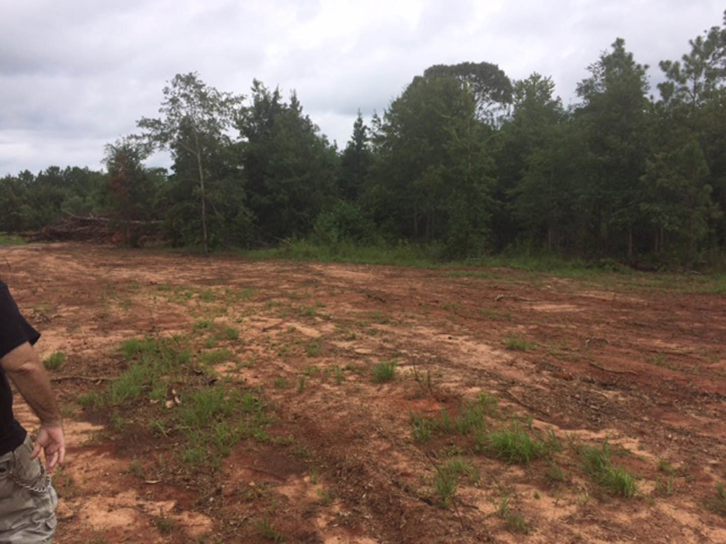 Dirt field bordered by green grass and dense trees under a cloudy sky, with a person’s hand and pants visible in the foreground