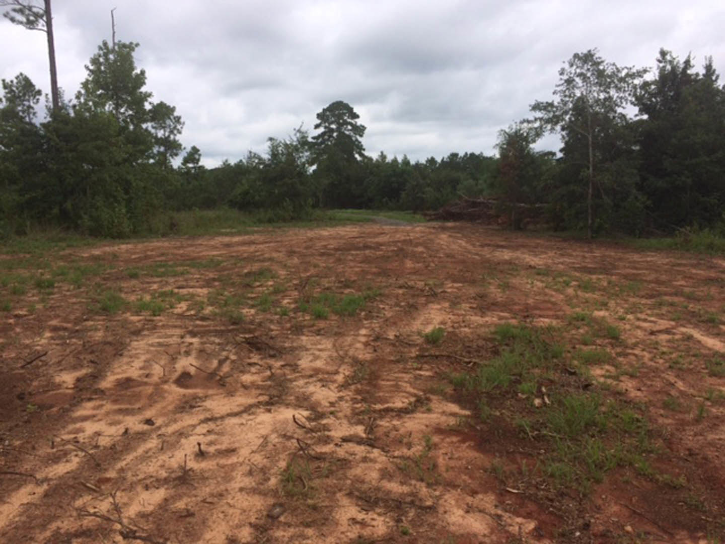 A dirt field with trees and clouds in the sky.