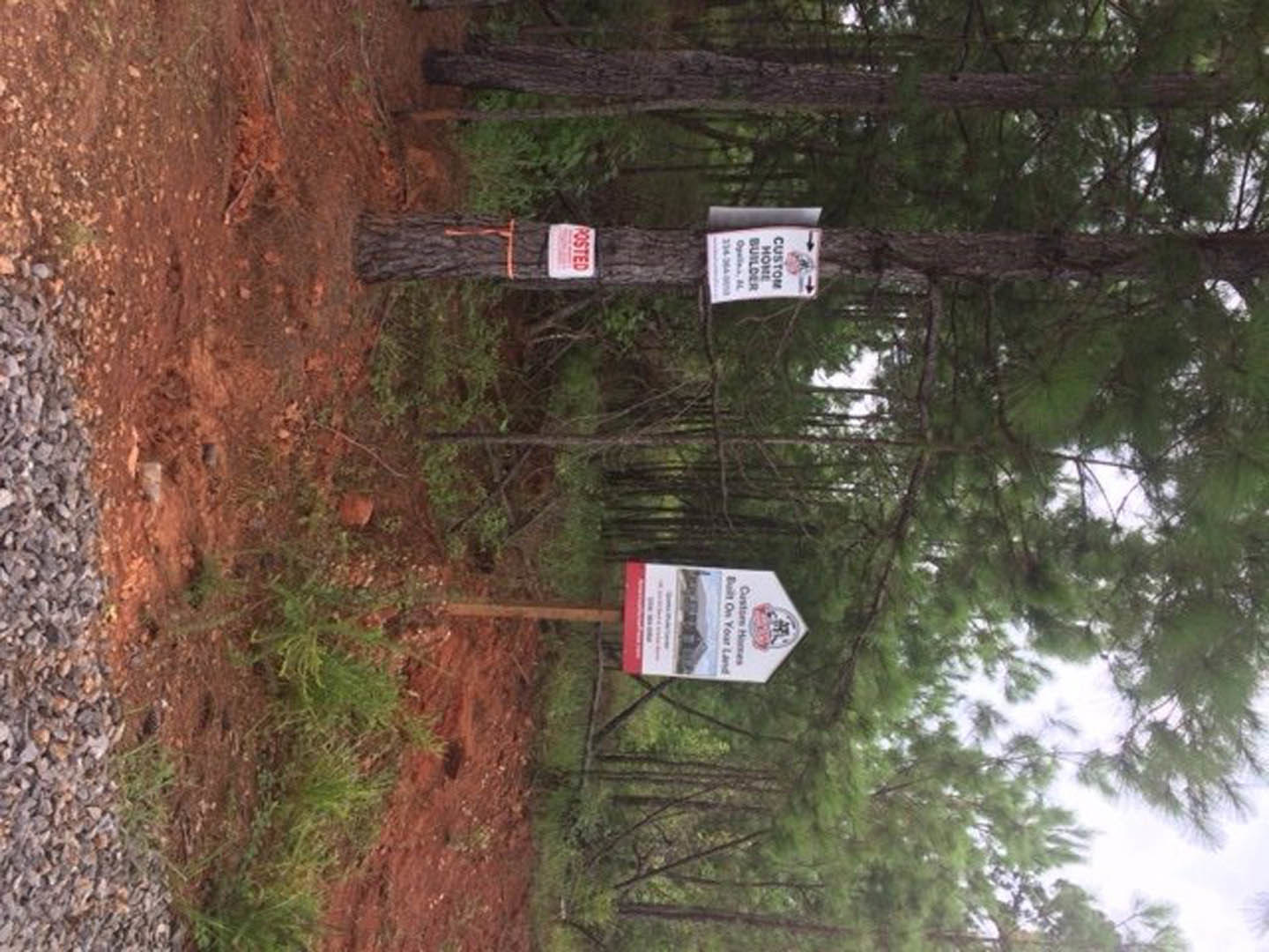 Wooden tree with green leaves and a sign displaying a house illustration, surrounded by gravel, dirt, and forest vegetation.
