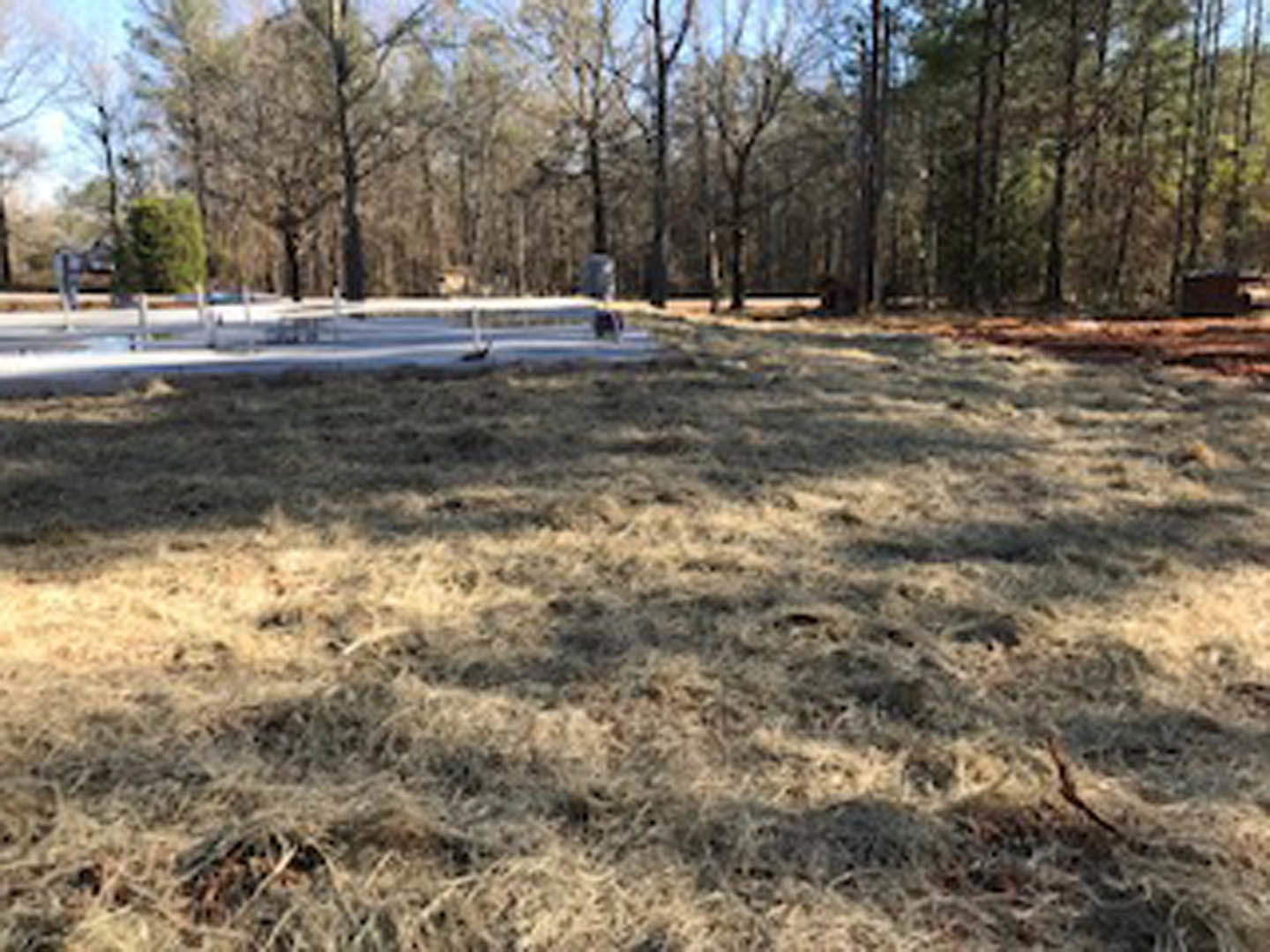 Wide grass lawn bordered by mature trees under a clear sky
