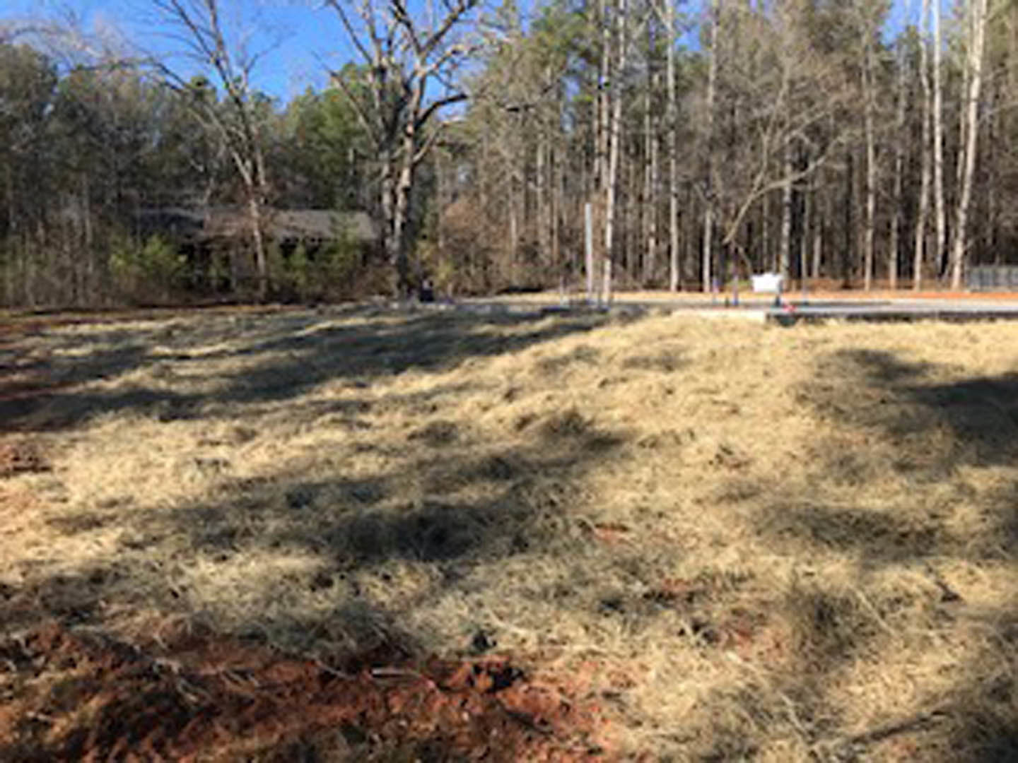 Modern custom home with light siding and large windows set on a grassy field, surrounded by mature trees under a clear blue sky
