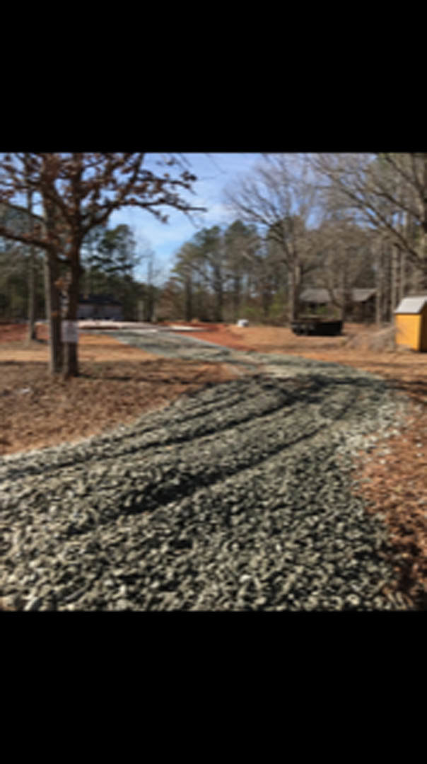 Gravel driveway bordered by leafless trees, distant houses partially visible in the background under a pale winter sky