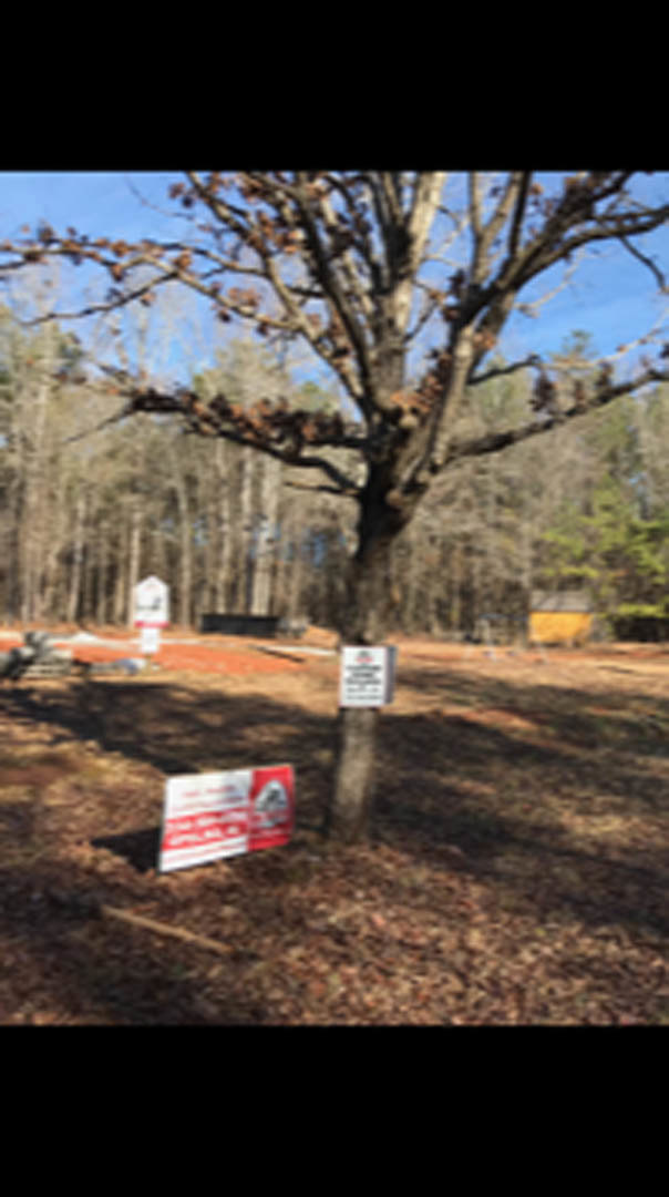 Leafless tree with multiple signs posted at its base, surrounded by grass and open sky in an outdoor setting.