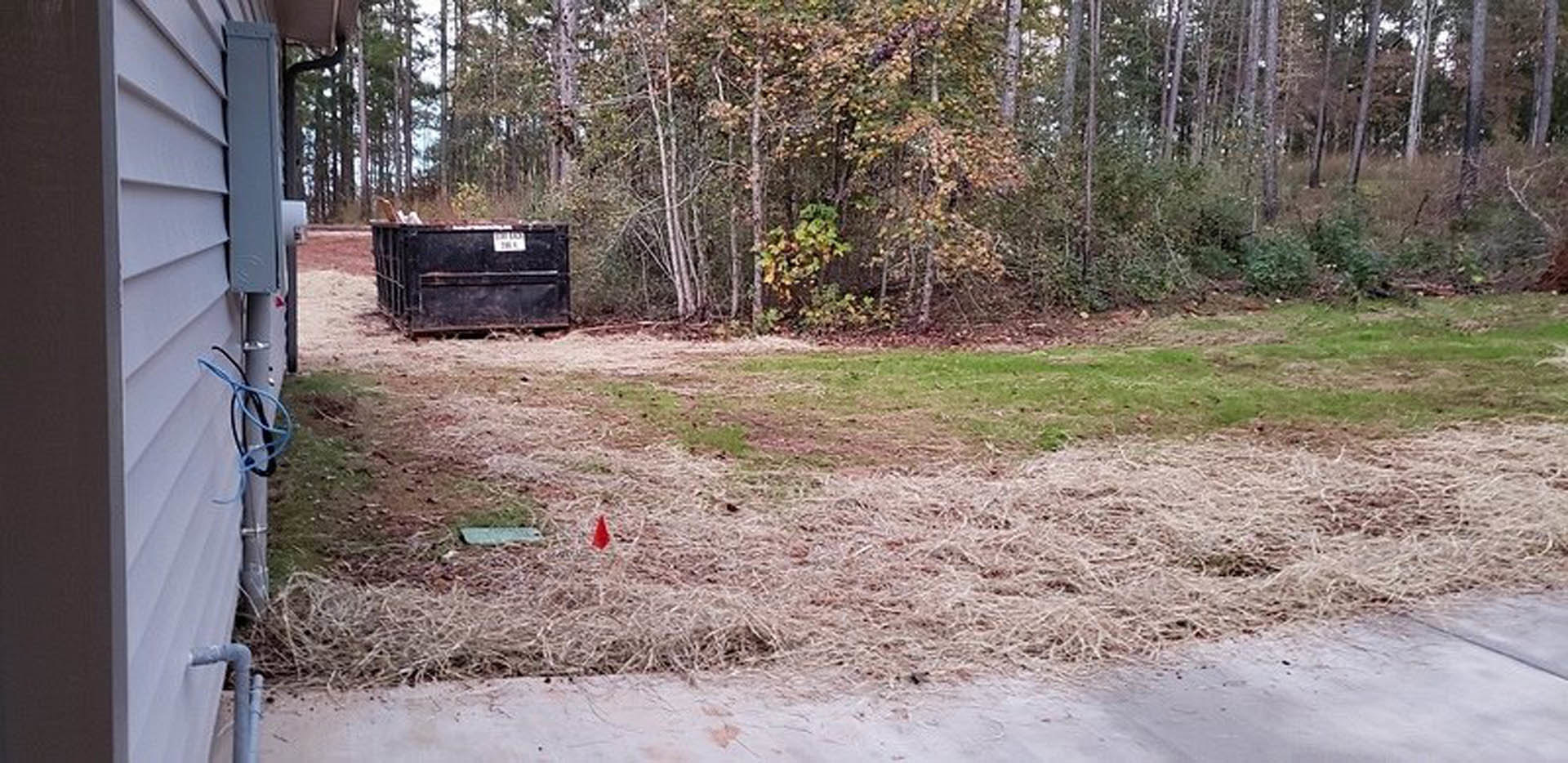 Blue waste container on grassy backyard near wood-sided house, surrounded by trees and plants