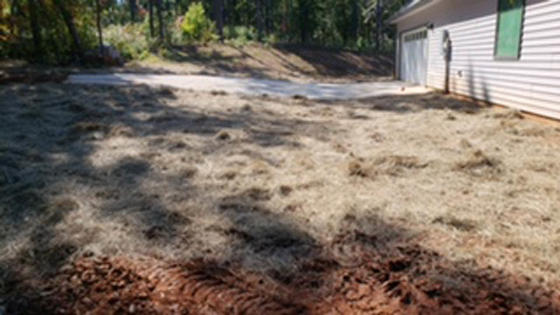 Wide grass field with a detached garage, mature trees in the background, dirt patch near the garage, overcast sky