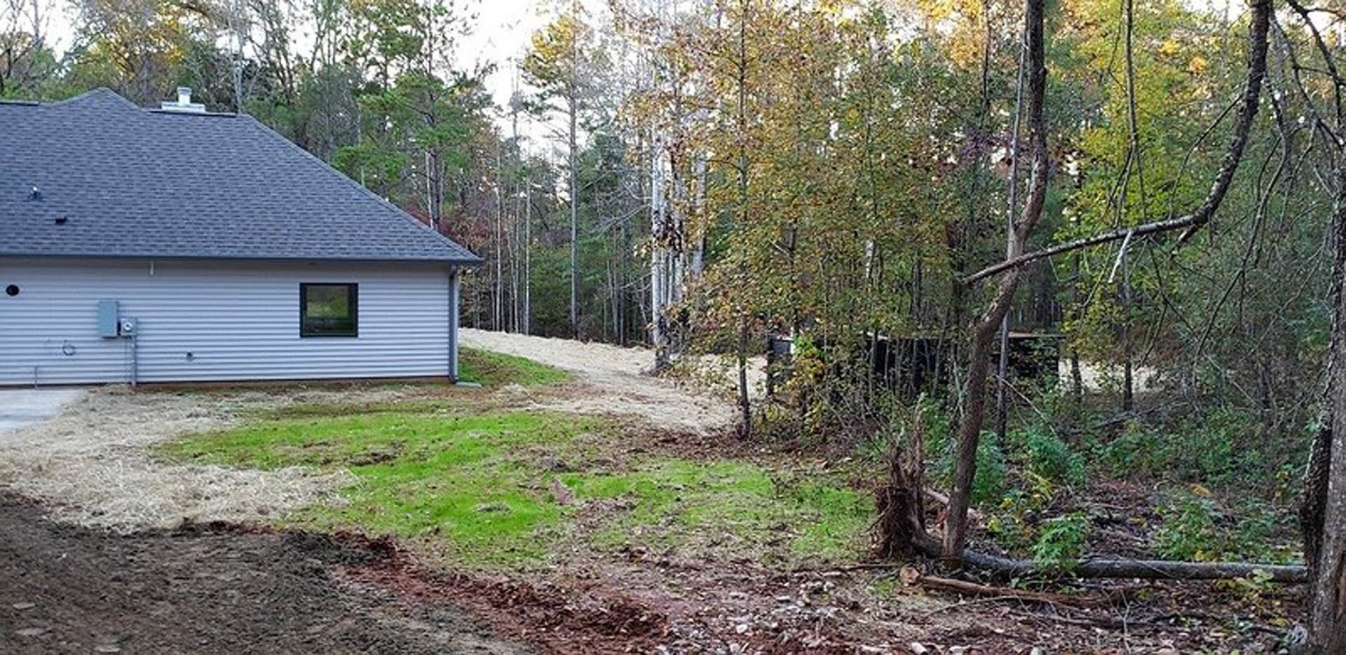 Two-story cottage with wood siding and gabled roof surrounded by autumn trees, grassy yard, and small garden shed