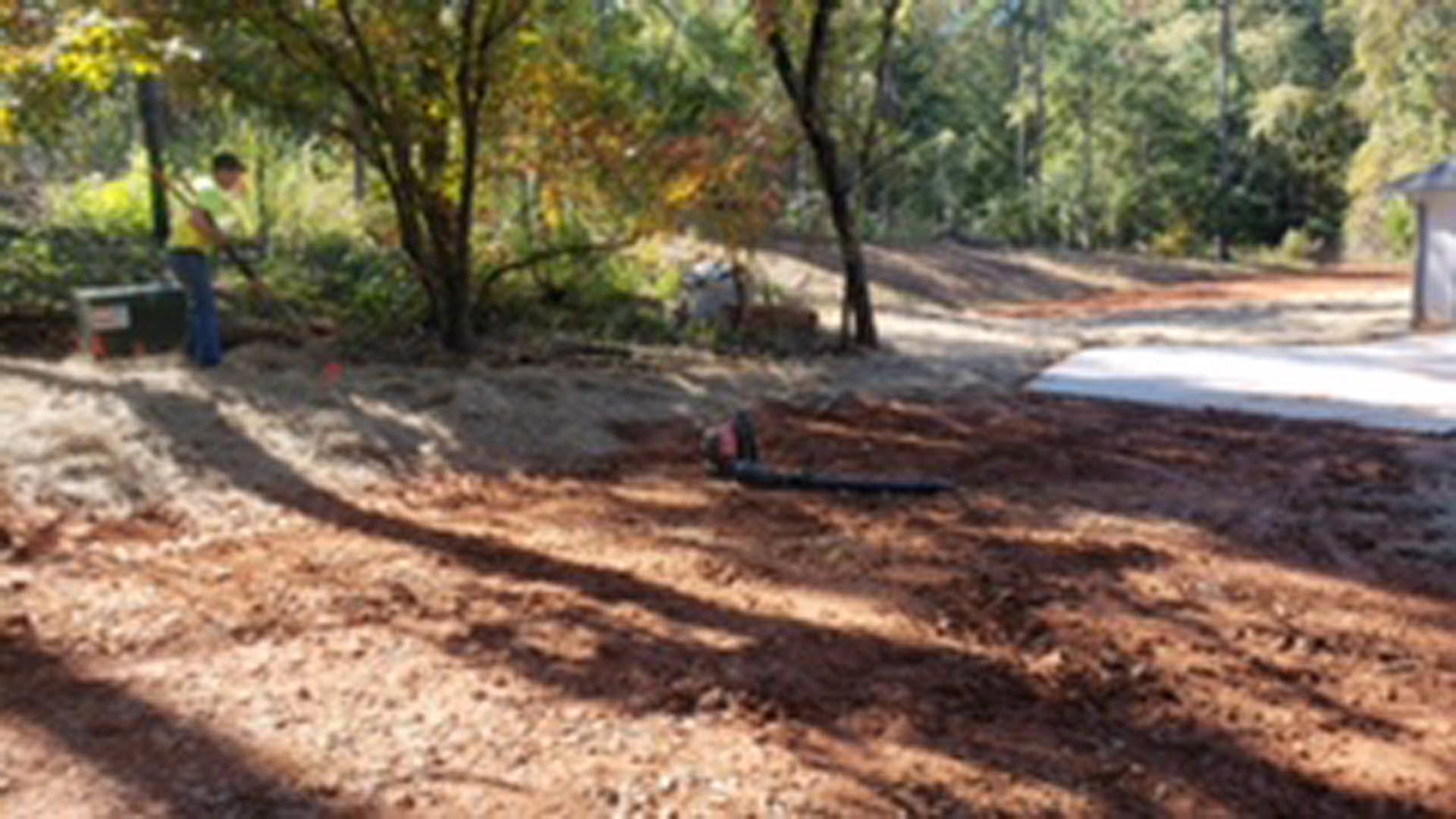 Tree trunk lying on soil with a handsaw nearby, surrounded by autumn leaves and dense woodland in the background