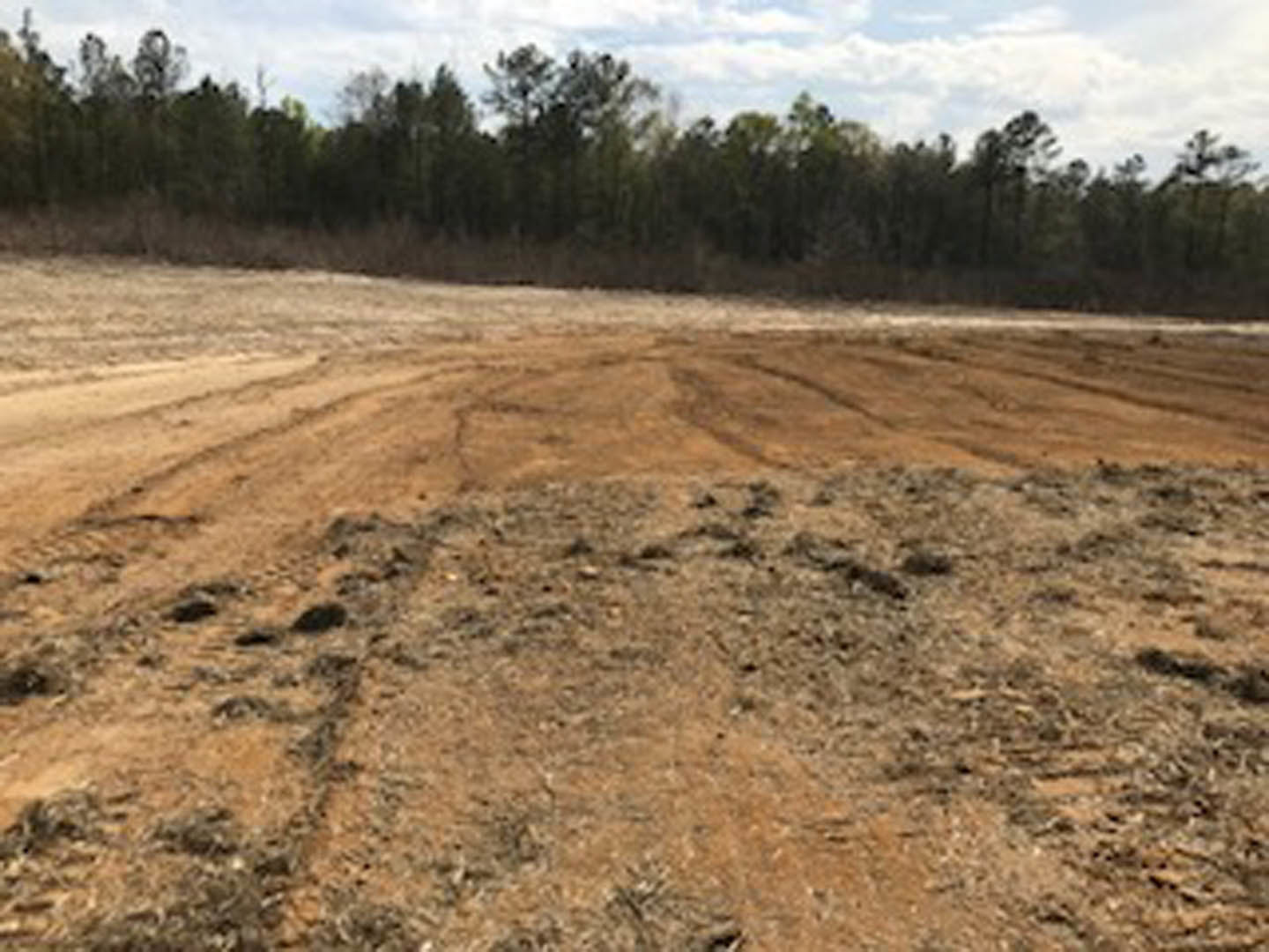 Brown dirt field bordered by tall trees under a partly cloudy sky