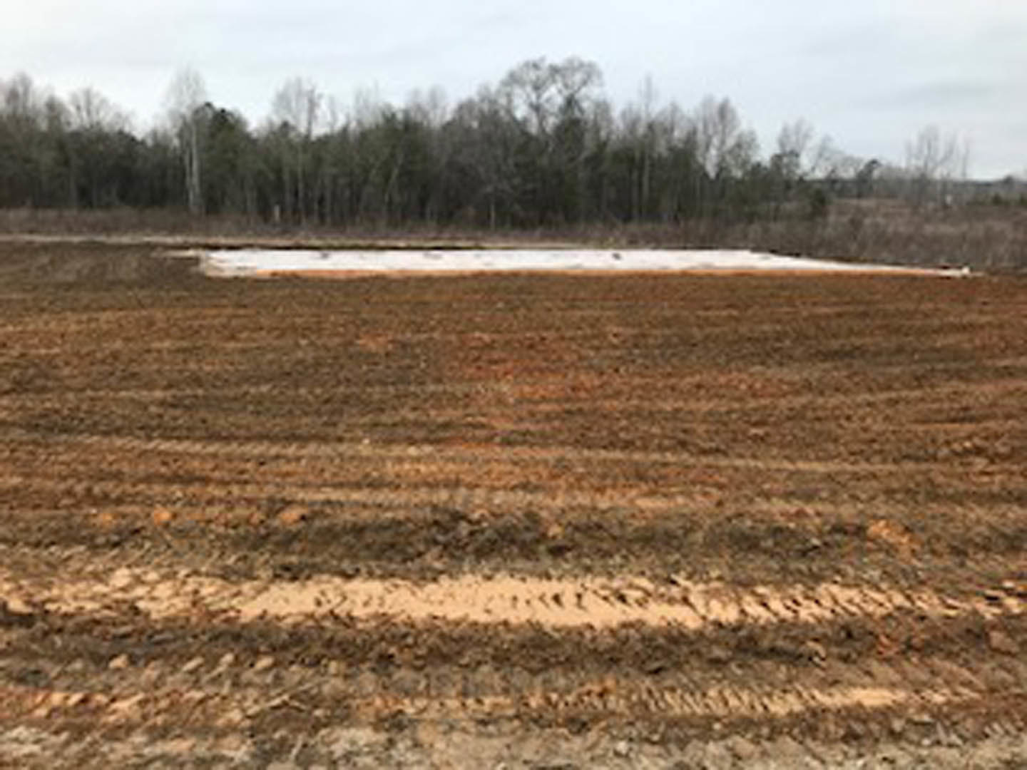 Expansive brown dirt field bordered by leafless trees under a pale winter sky