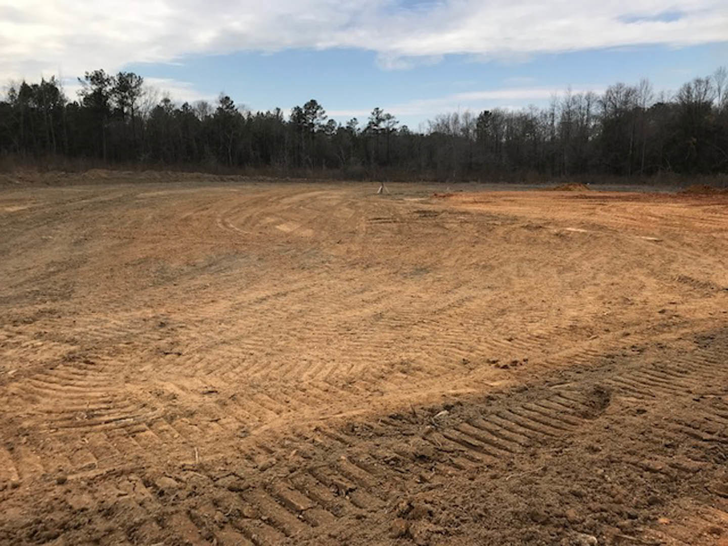 Dirt field with tire tracks, bordered by a group of trees under a blue sky with scattered clouds